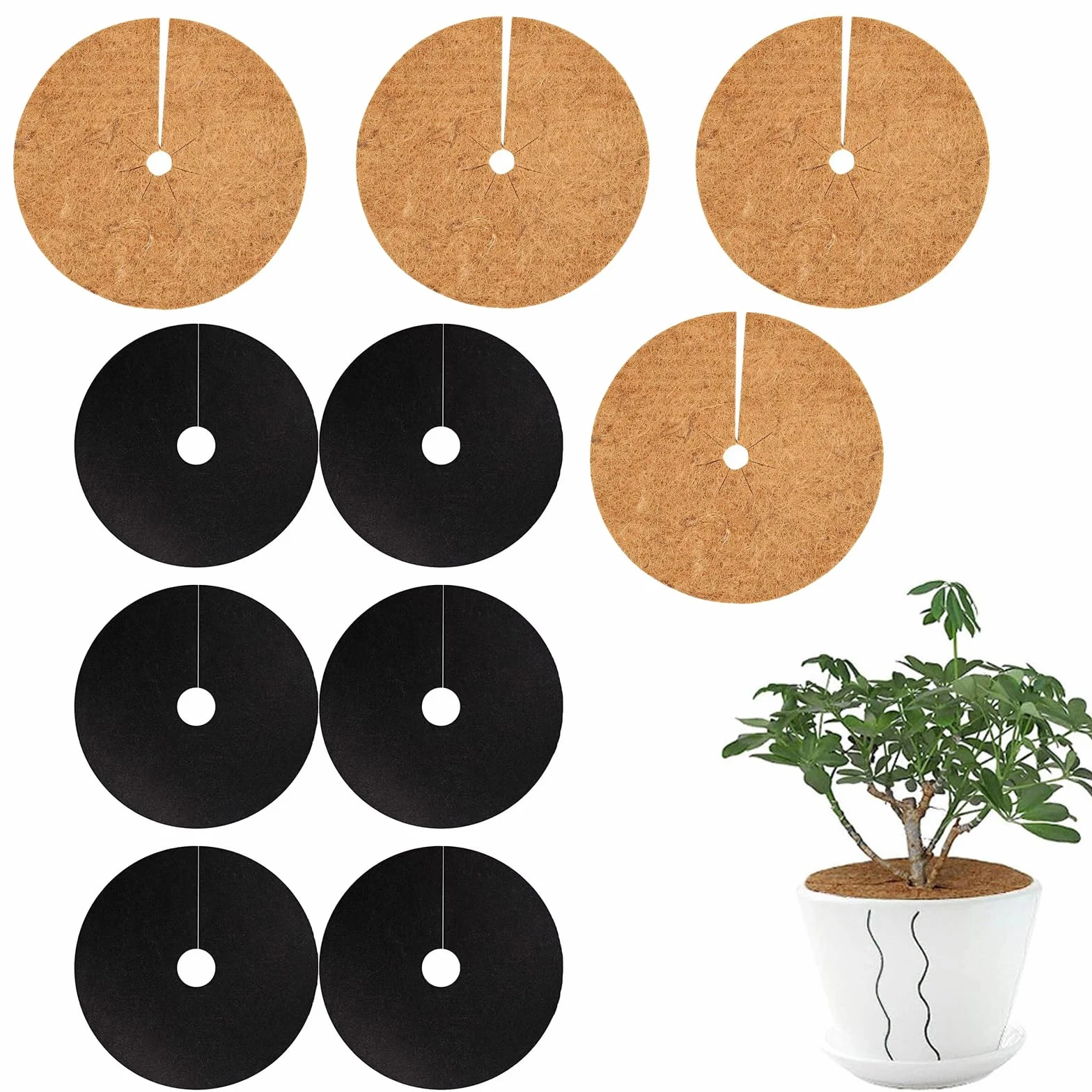 Tapis en fibre de coco pour plantes, protection contre le gel, disque de paillage rond