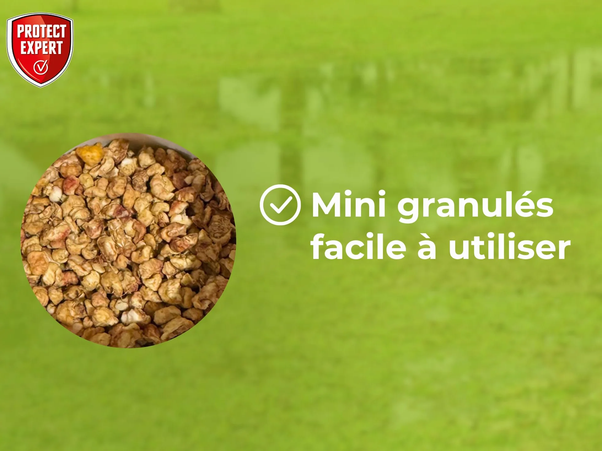 PROTECT EXPERT Larvicide Moustiques 100g Mini Granulés Lutte Contre Larves Moustique Tigre