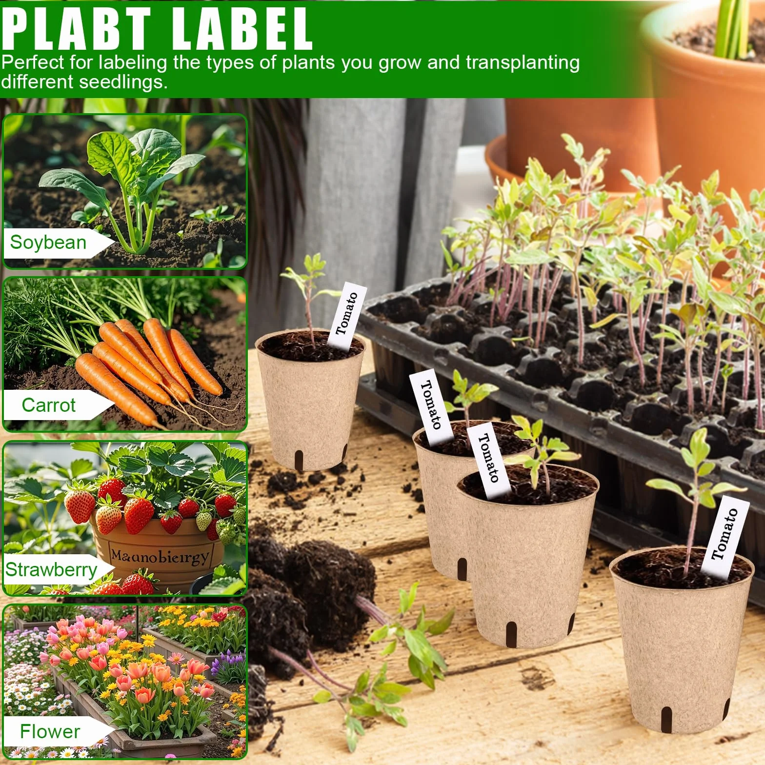 Godets pour Semis 8cm, 50 Pièces Kit de Pots de Semis en Fibre Biodégradable avec Étiquettes et Outils