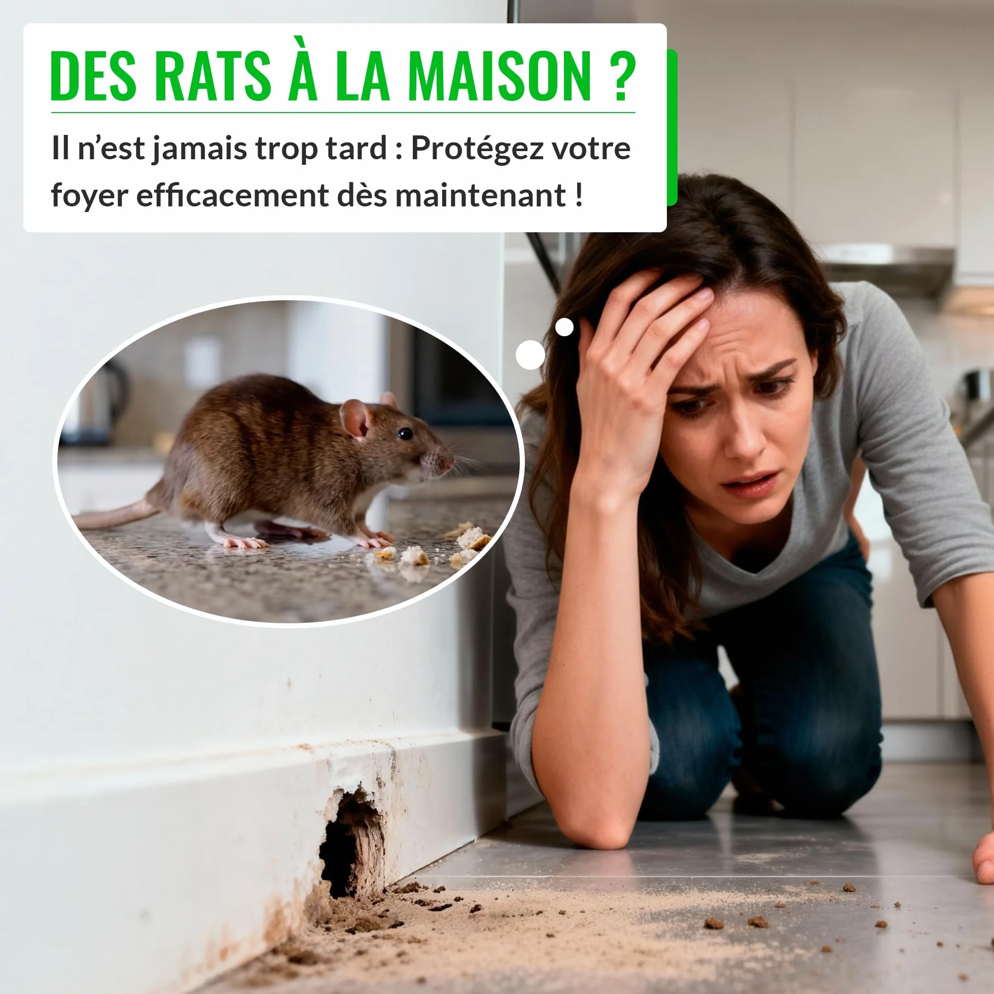 Mice&Co Boîte d'Appât Professionnelle – Piège à Rats et Souris – Station d'Appât Sécurisée