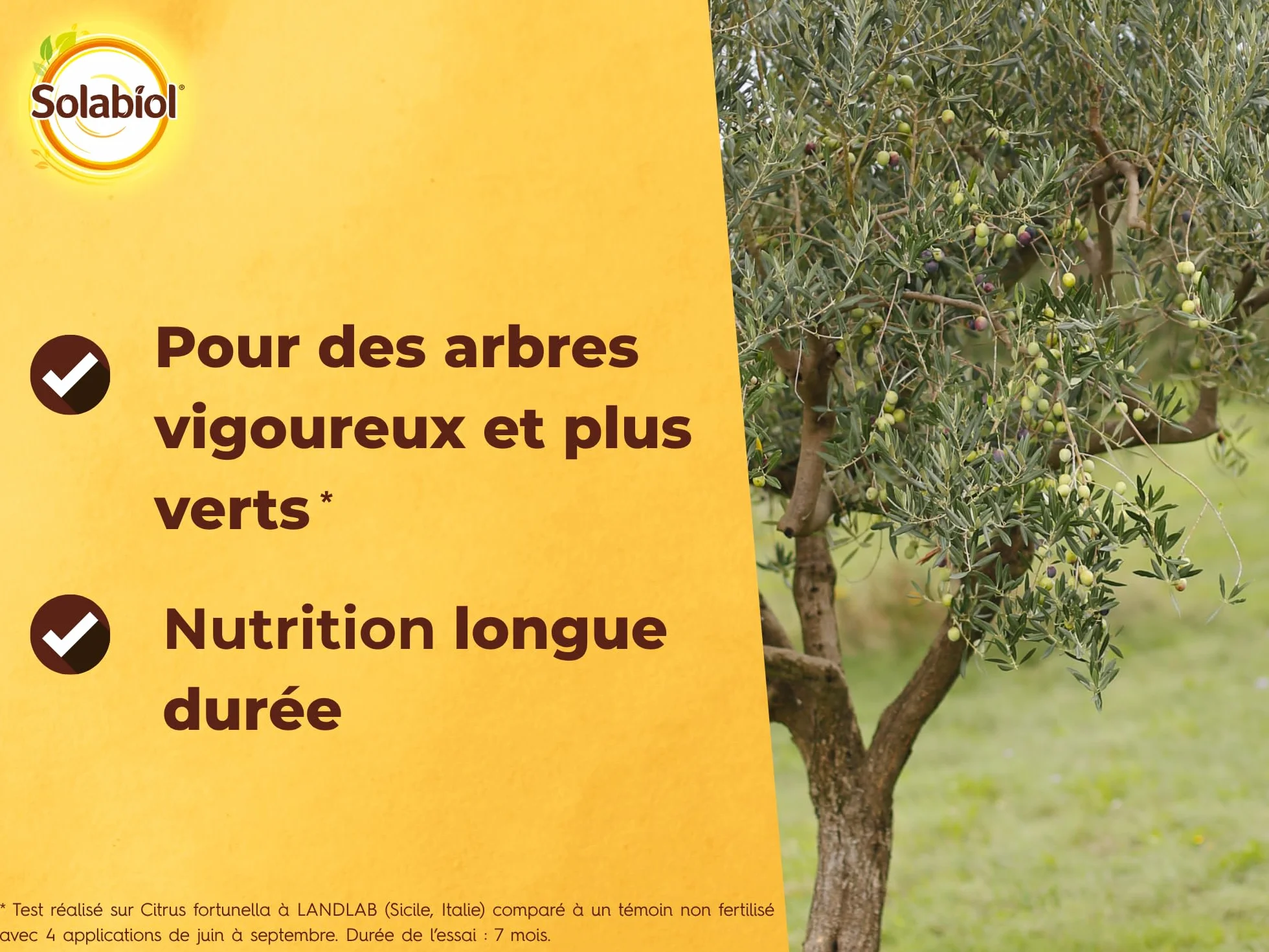 SOLABIOL Engrais Oliviers Figuiers Plantes Méditerranéennes 750g Jusqu'à 15 Arbres Agriculture Biologique SOLIVY750