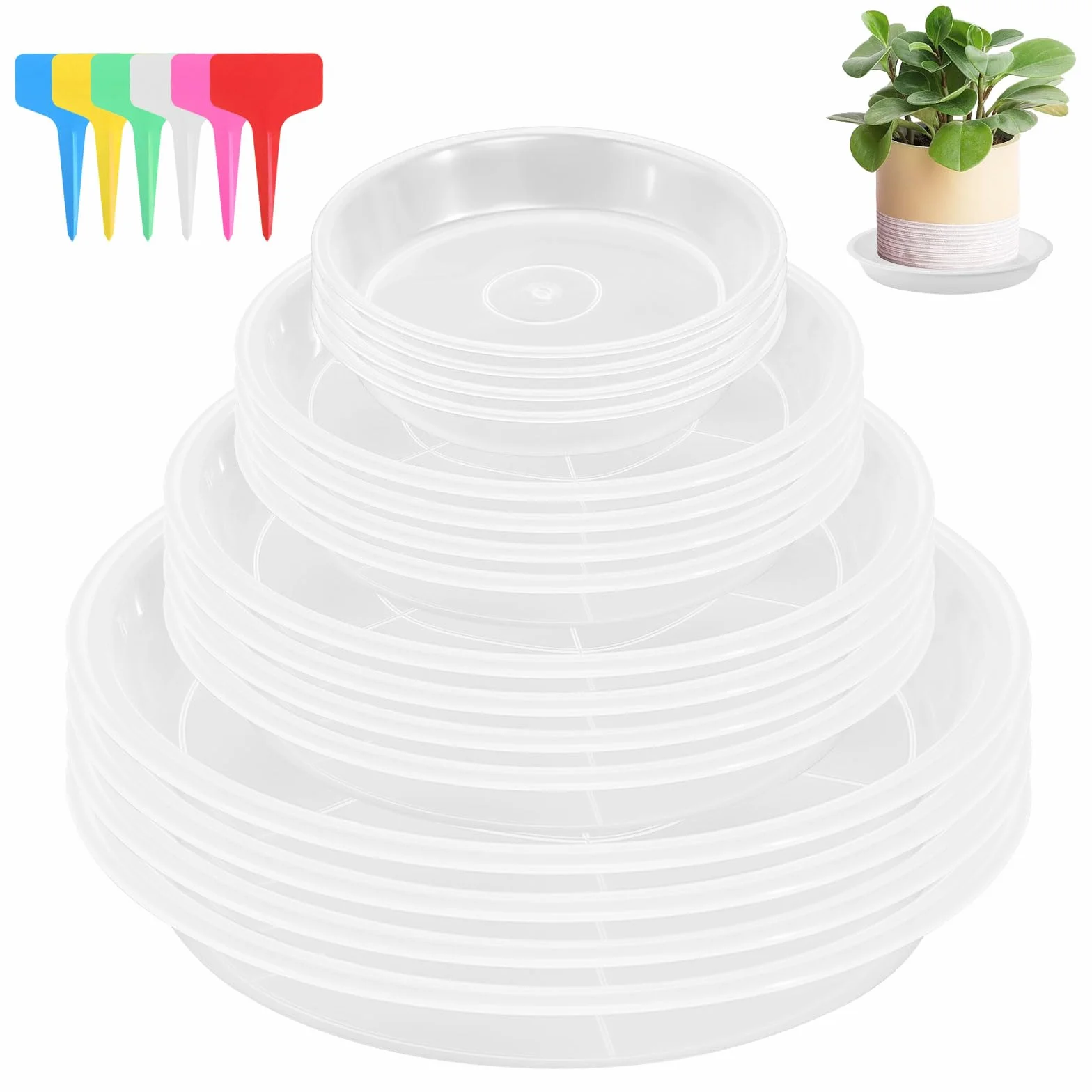 16 Pièces Coupelle Pot de Fleur Soucoupe Plastique Transparent avec Étiquettes pour Plantes Intérieur Extérieur