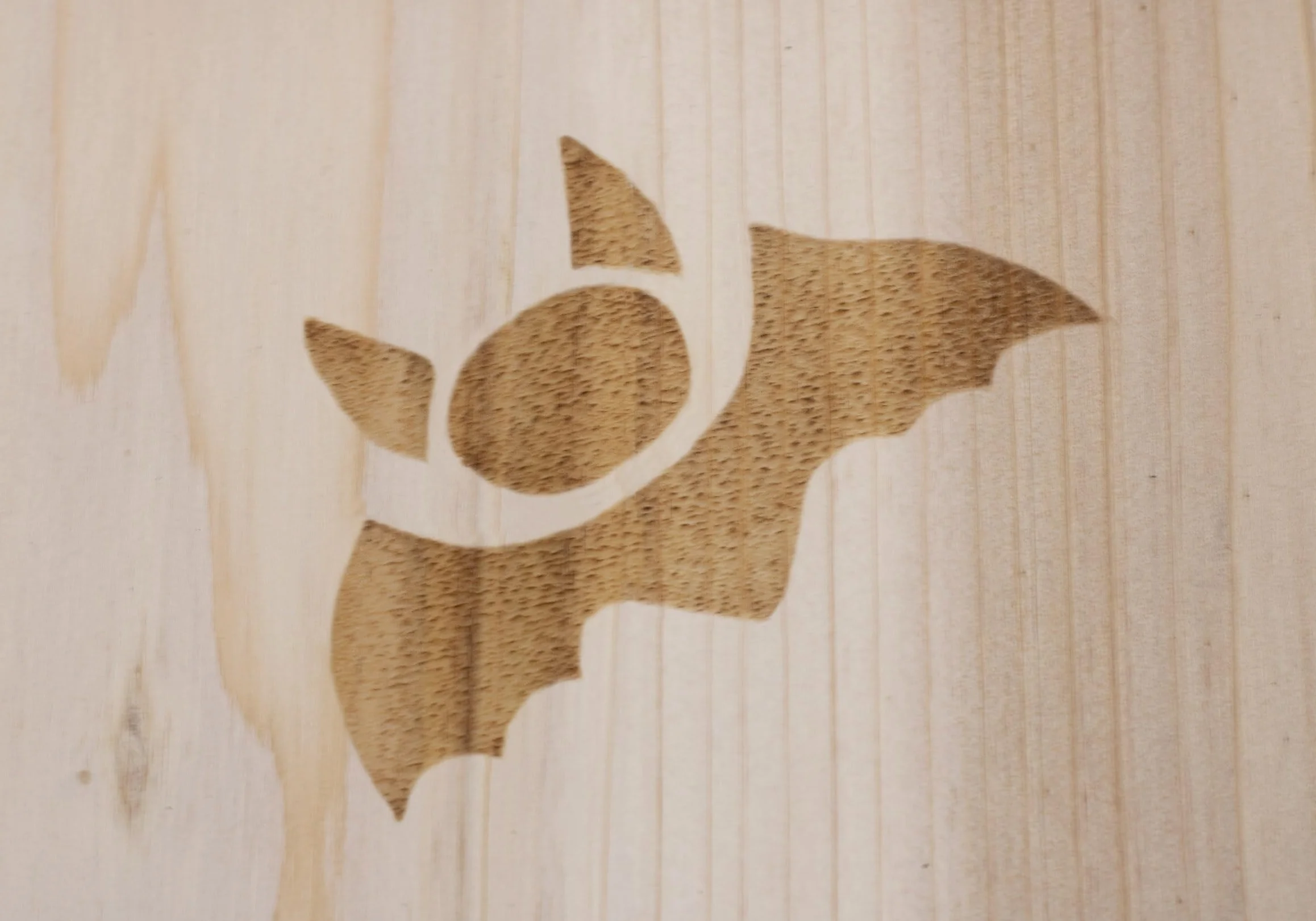 Maison de chauve-souris en bois 28 x 18 cm - Nichoir suspendu pour chauve-souris