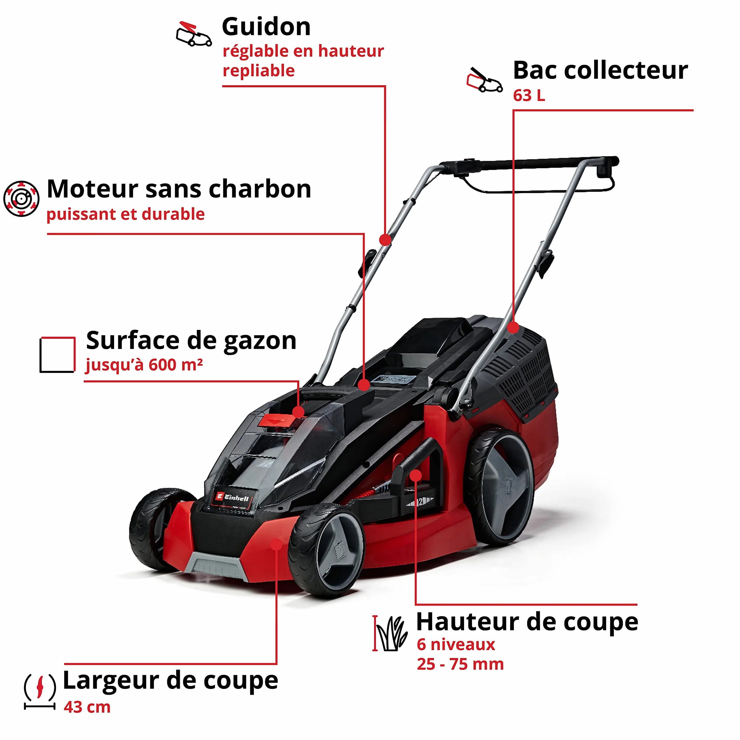 Einhell GE-CM 43 Li M KIT Tondeuse à Gazon sans Fil 36V 43 cm 500 m² 2 Batteries 4,0 Ah Chargeur
