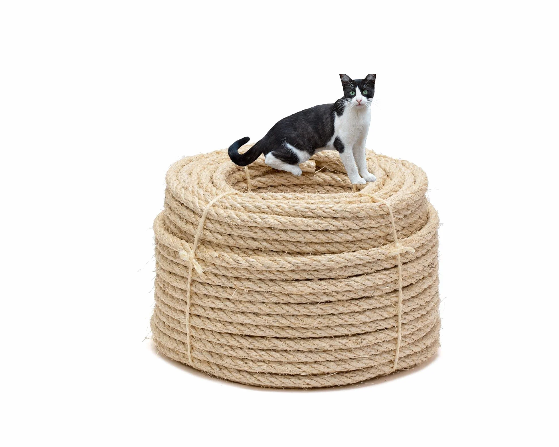 La Cordeline Corde Sisal Naturel Ø 10 mm 50 m - Arbre à Chats, Jardin, Bricolage, Corde décoration