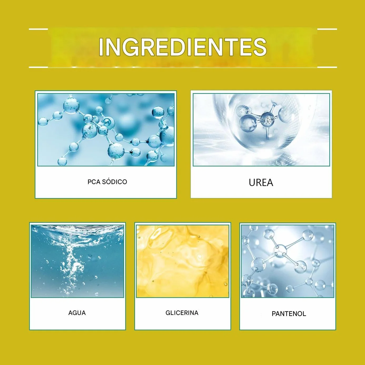 Pastilles nutritives pour plantes 18 unités nutriments naturels libération lente fleurs arbres vivaces légumes jardin