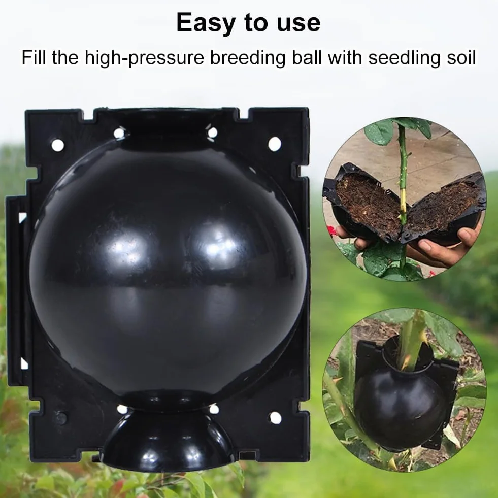 Boîte de Greffage de Plantes 6pcs, Dispositif d'Enracinement Balle de Propagation