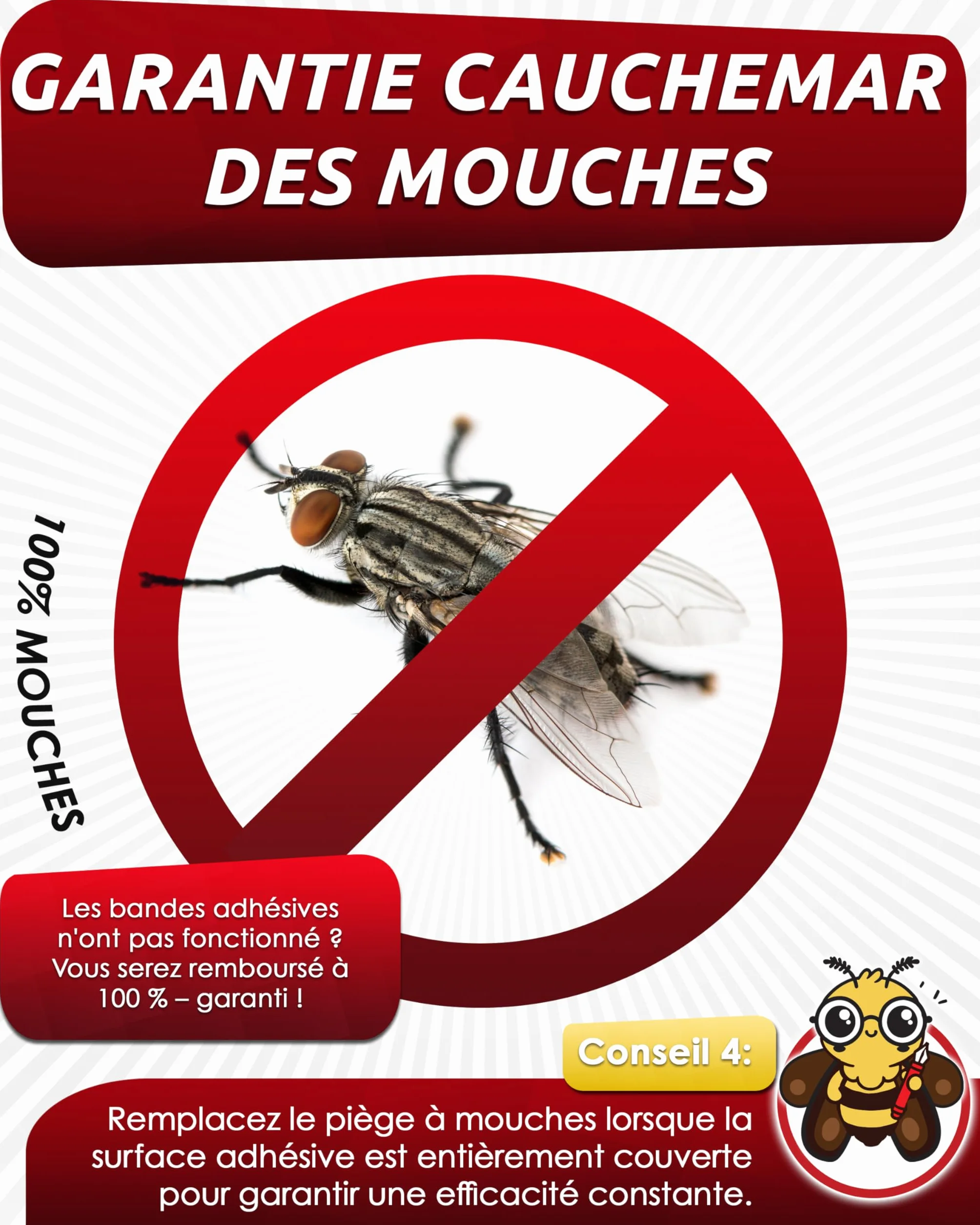Piège à Mouche pour fenêtre 16 pièces Anti Mouche, Attrape Mouche Non Toxique inodore