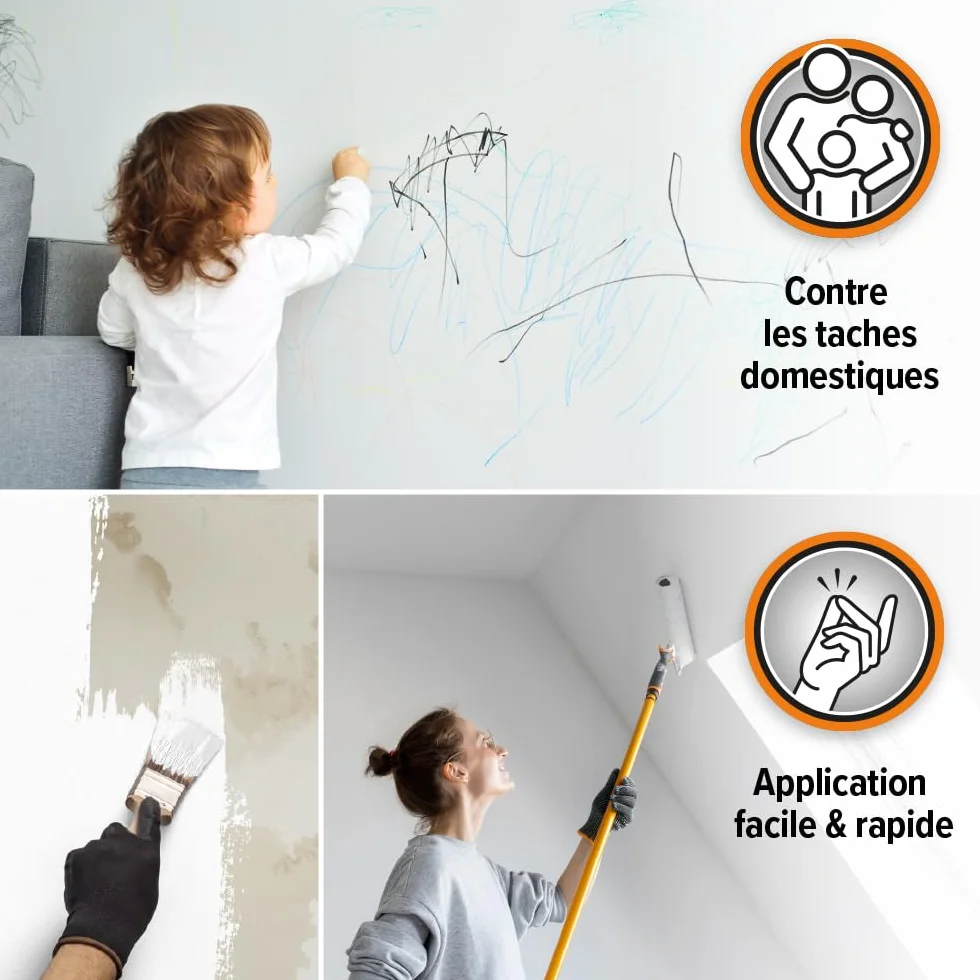 Dryzone Peinture Anti-Humidité et Anti-Taches – 1 L – Blanc Mat Intérieur – Recouvre taches d'humidité, d'huile... – Sous-Couche pour Plâtre, Ciment, Pierre & Mortier