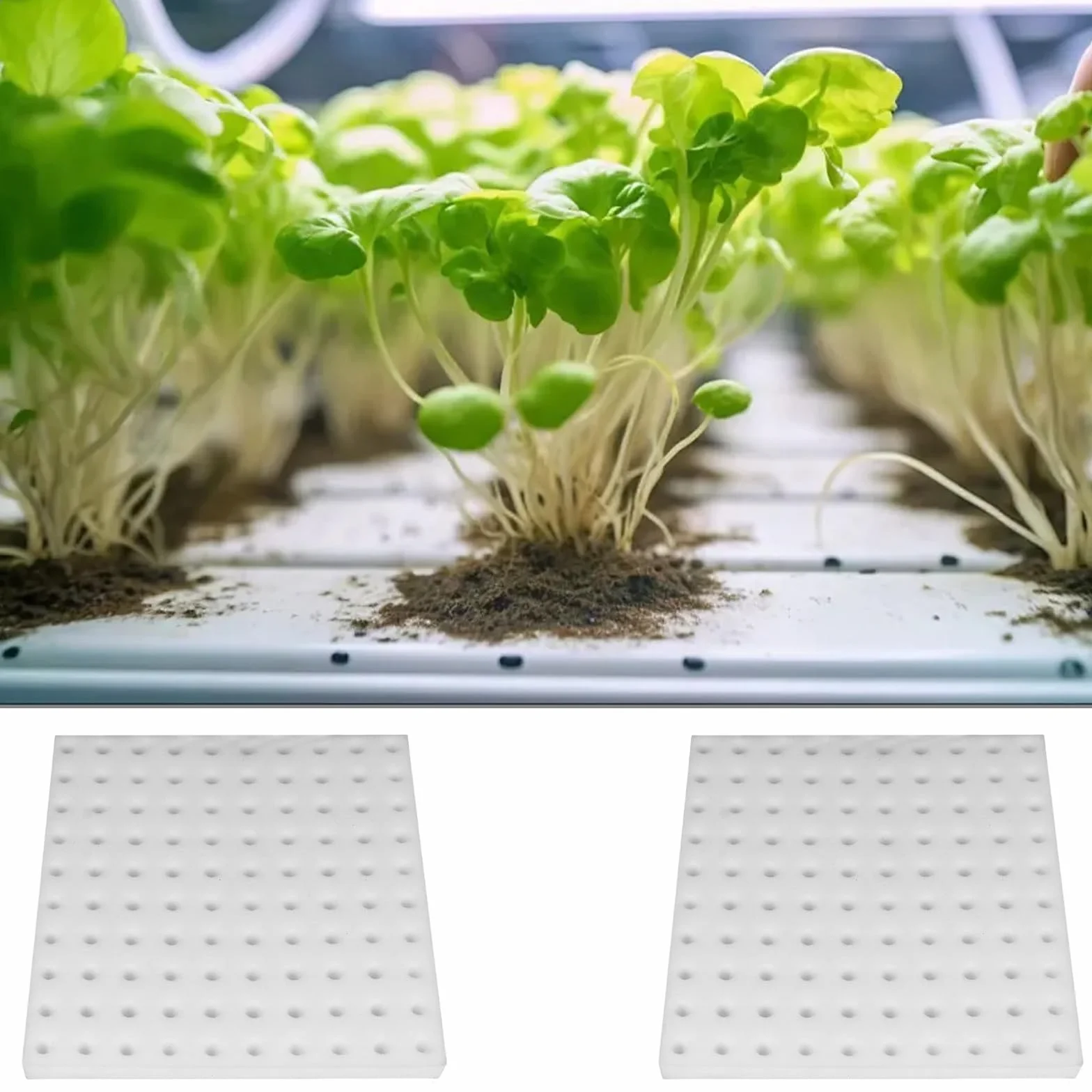 400 cubes en mousse hydroponiques pour pots en filet aéroponique serre