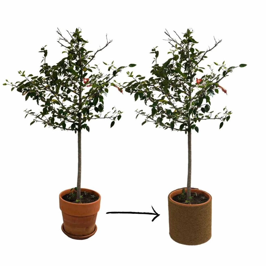 Florade® Tapis coco protection hivernale plantes en pot 100% biologique différentes tailles