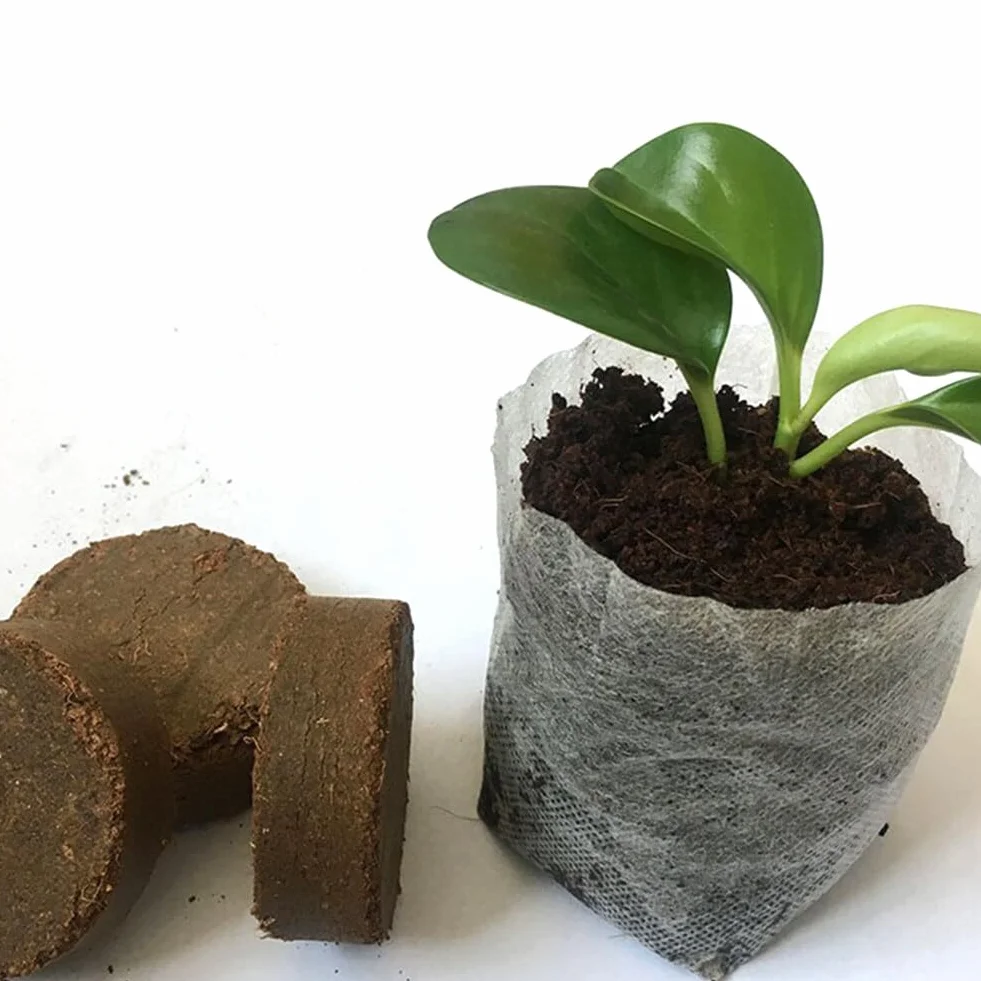 Plateau De Semis Bloc De Nutrition Pastilles De Tourbe pour Culture De Plantes 50Pcs
