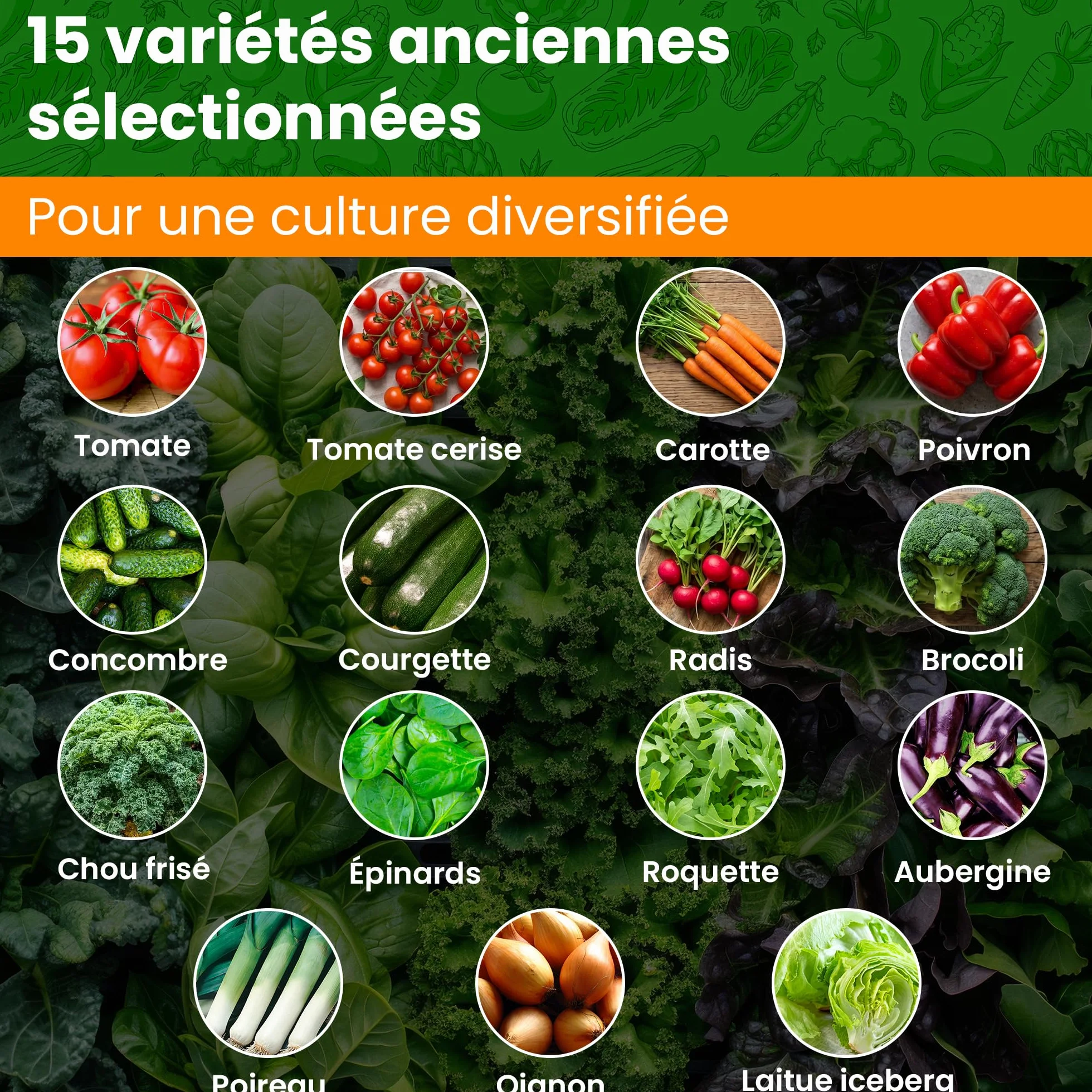 Kit de Graines de Légumes 15 Variétés – Tomate, Concombre, Carotte, Poivron, Courgette, Radis