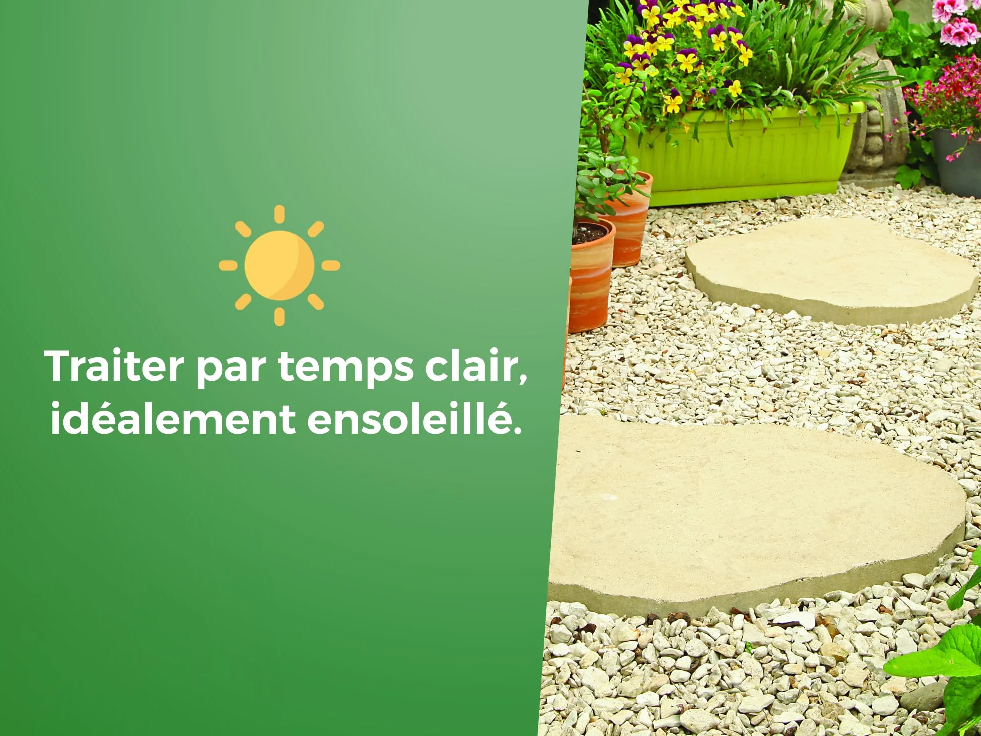 PROTECT EXPERT 2 Désherbant Concentré Localisé 2x200ml 176m² Non Sélectif