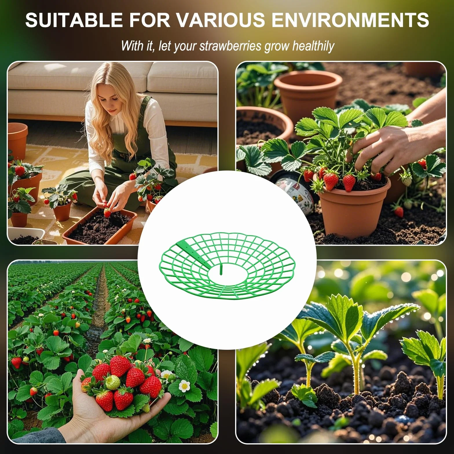 Amovible Support Culture Fraisier 15 Pièces Vert Protection Fraises Poussière Escargots