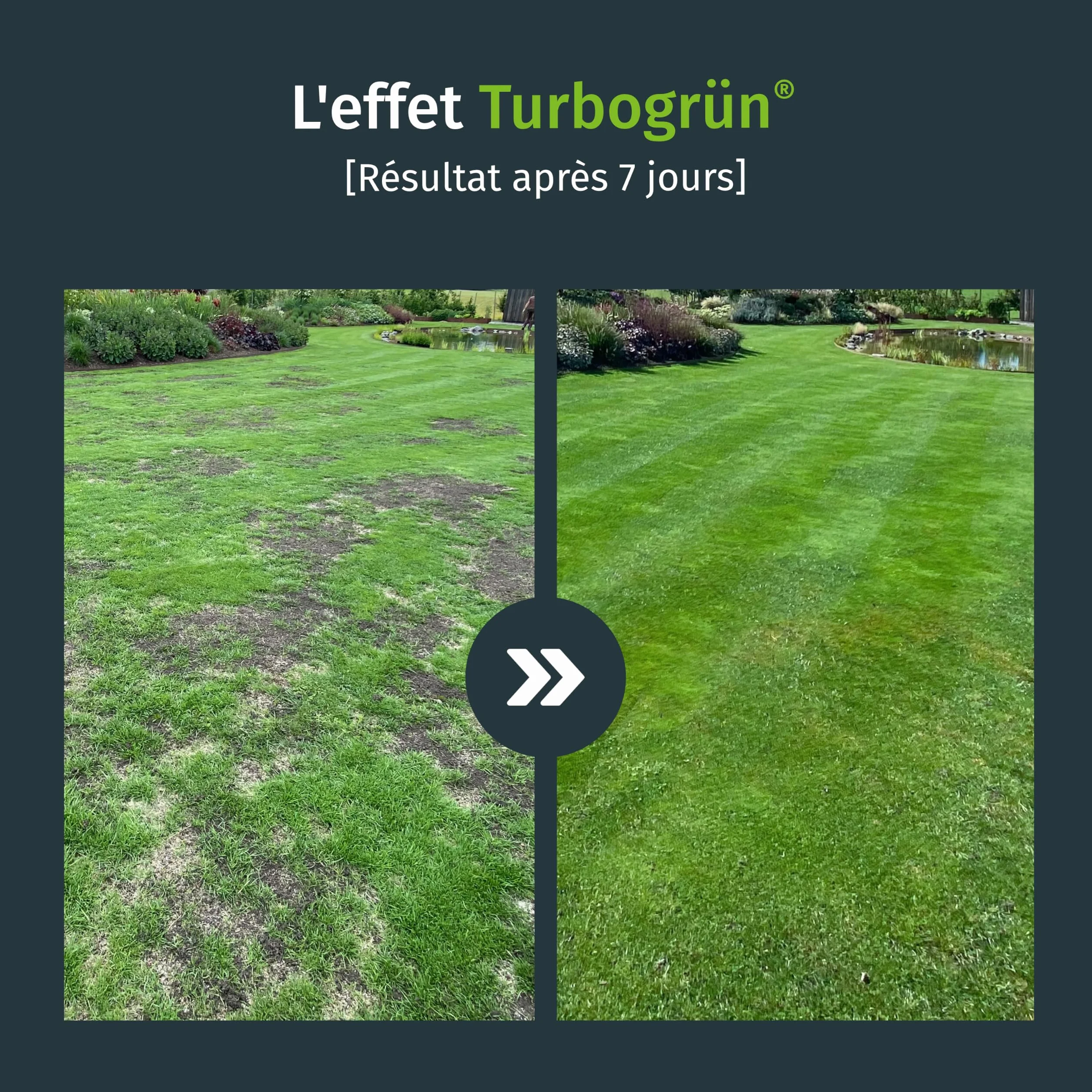 Turbogrün Semences de gazon regarnissage 5kg 250m² germination rapide sursemis printemps automne