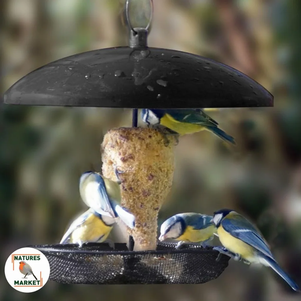 Graisse Végétale 100% pour Oiseaux 12 Saveurs 850g x12 10.2kg Alimentation Complète