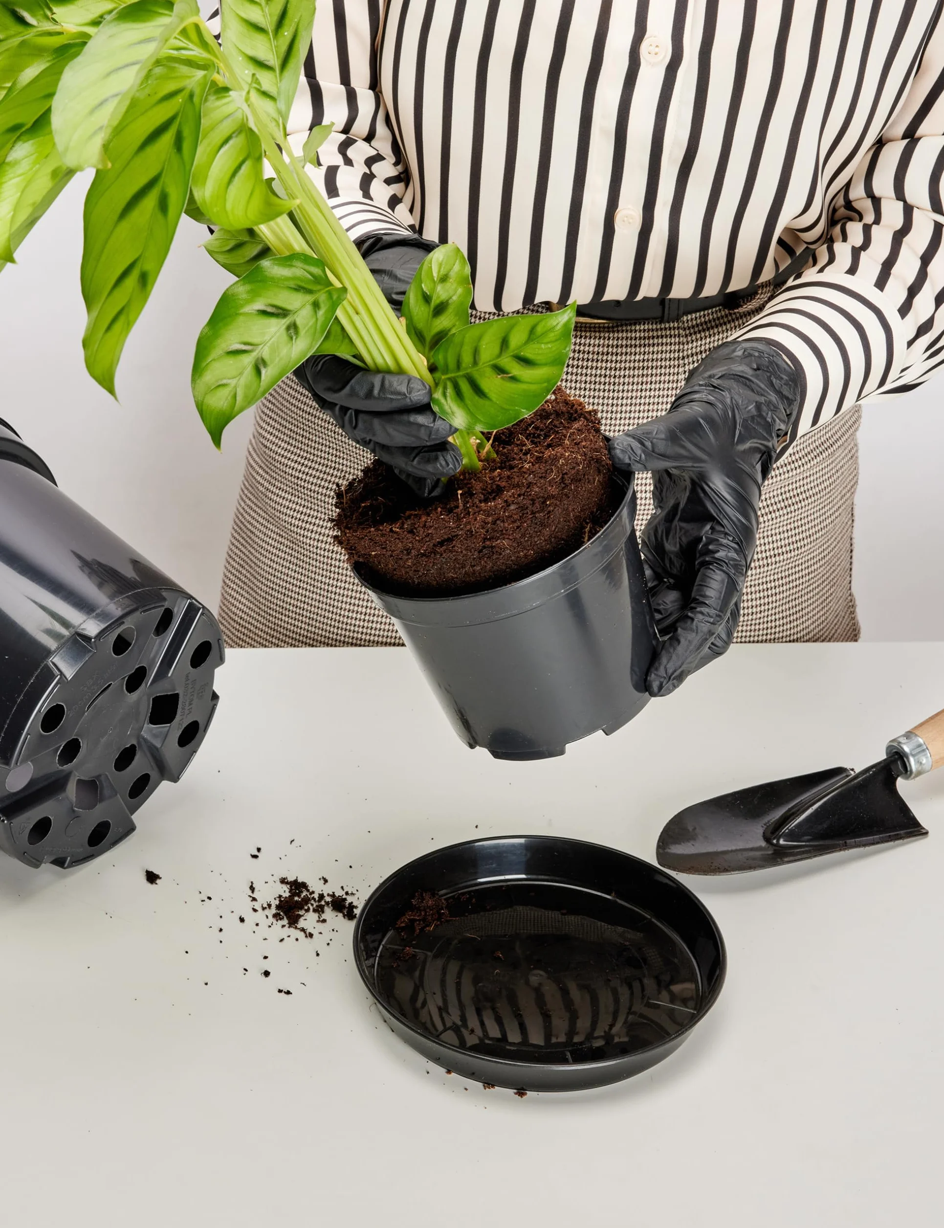 Soucoupes pour Pots Horticulture Ronds Noir ⌀ 50 cm H 6,2 cm