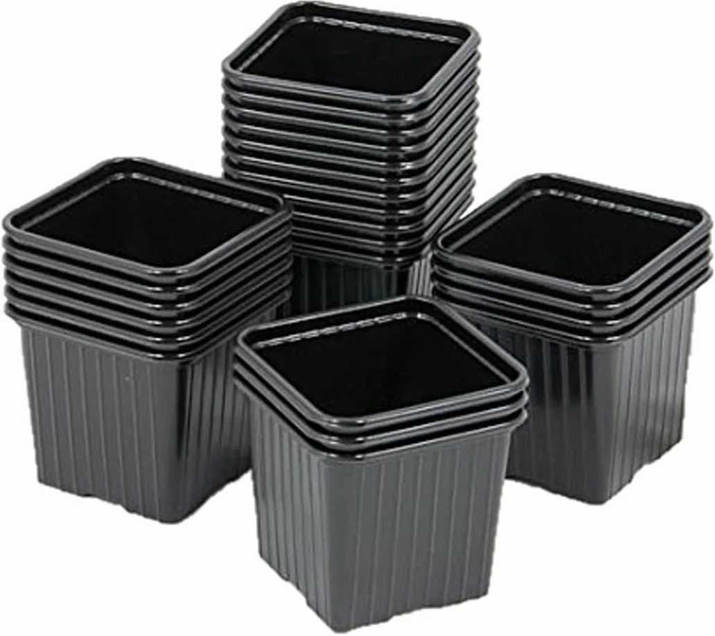 Godet 7x7x6.4 thermoformé Noir x 50