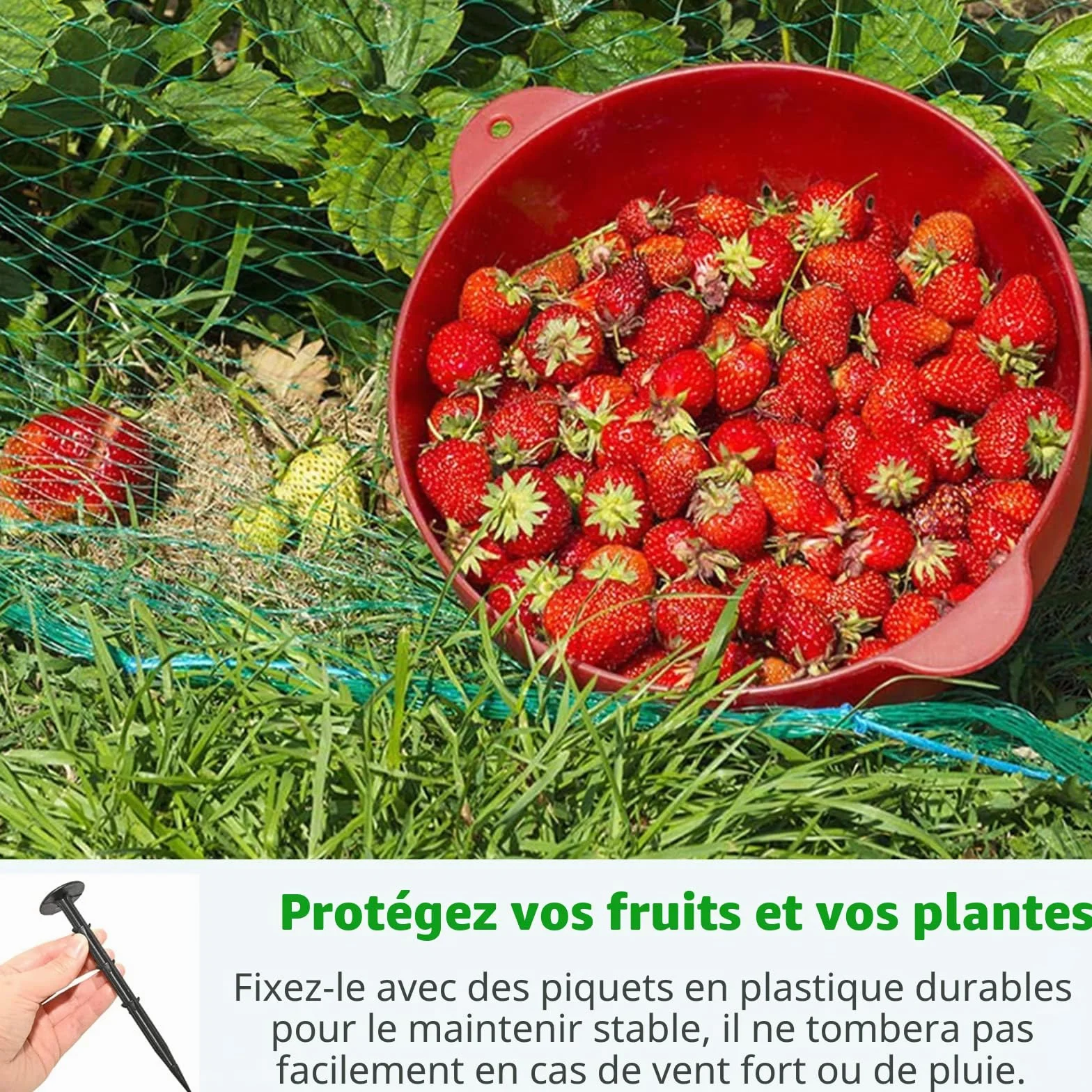 Filet Anti Oiseaux 4M x 12M Filet de Protection Jardin Plantes Fruits Fleurs