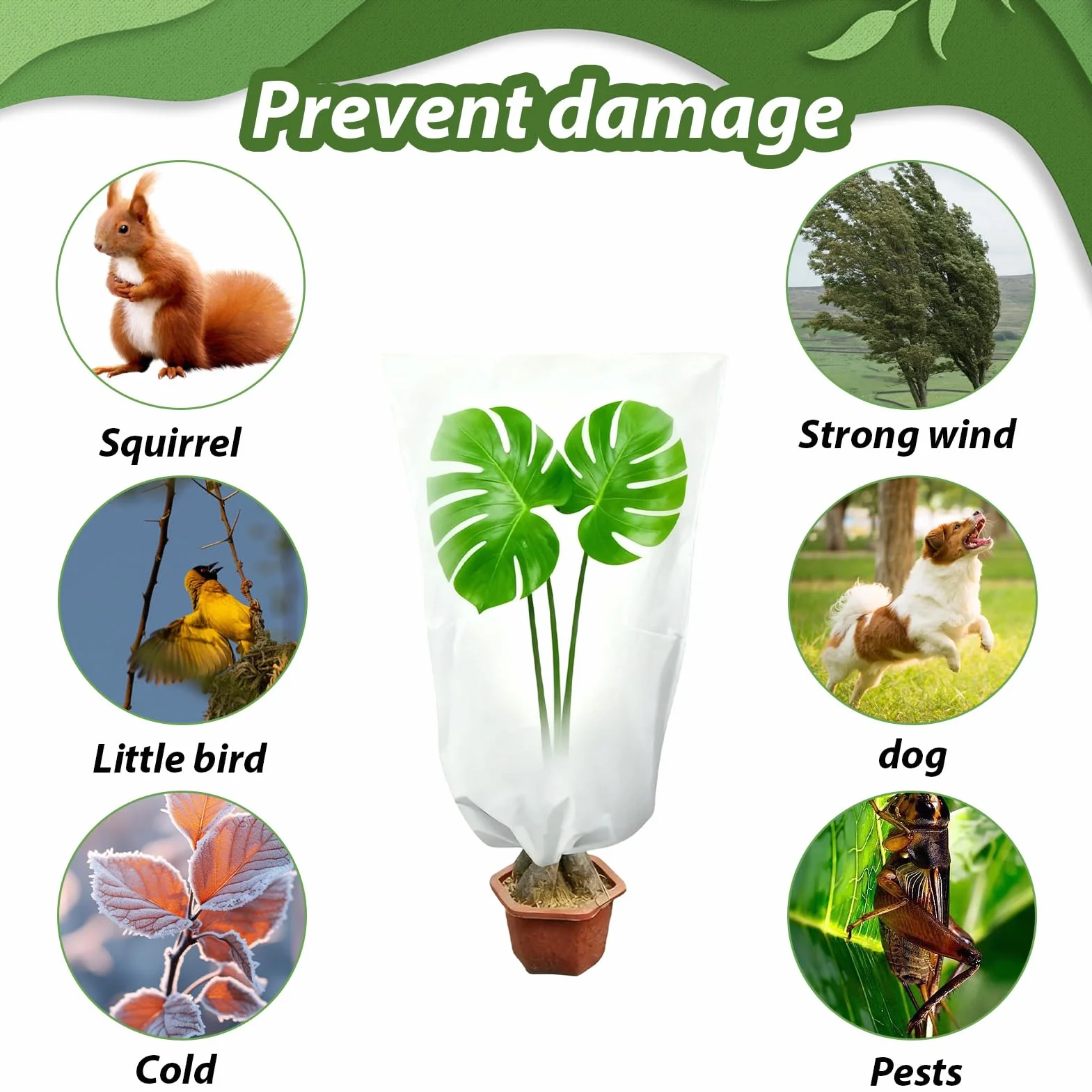 Voile d'Hivernage pour Plantes Extérieur 80x100 cm 2PCS Housse Protection Contre Le Gel Réutilisable