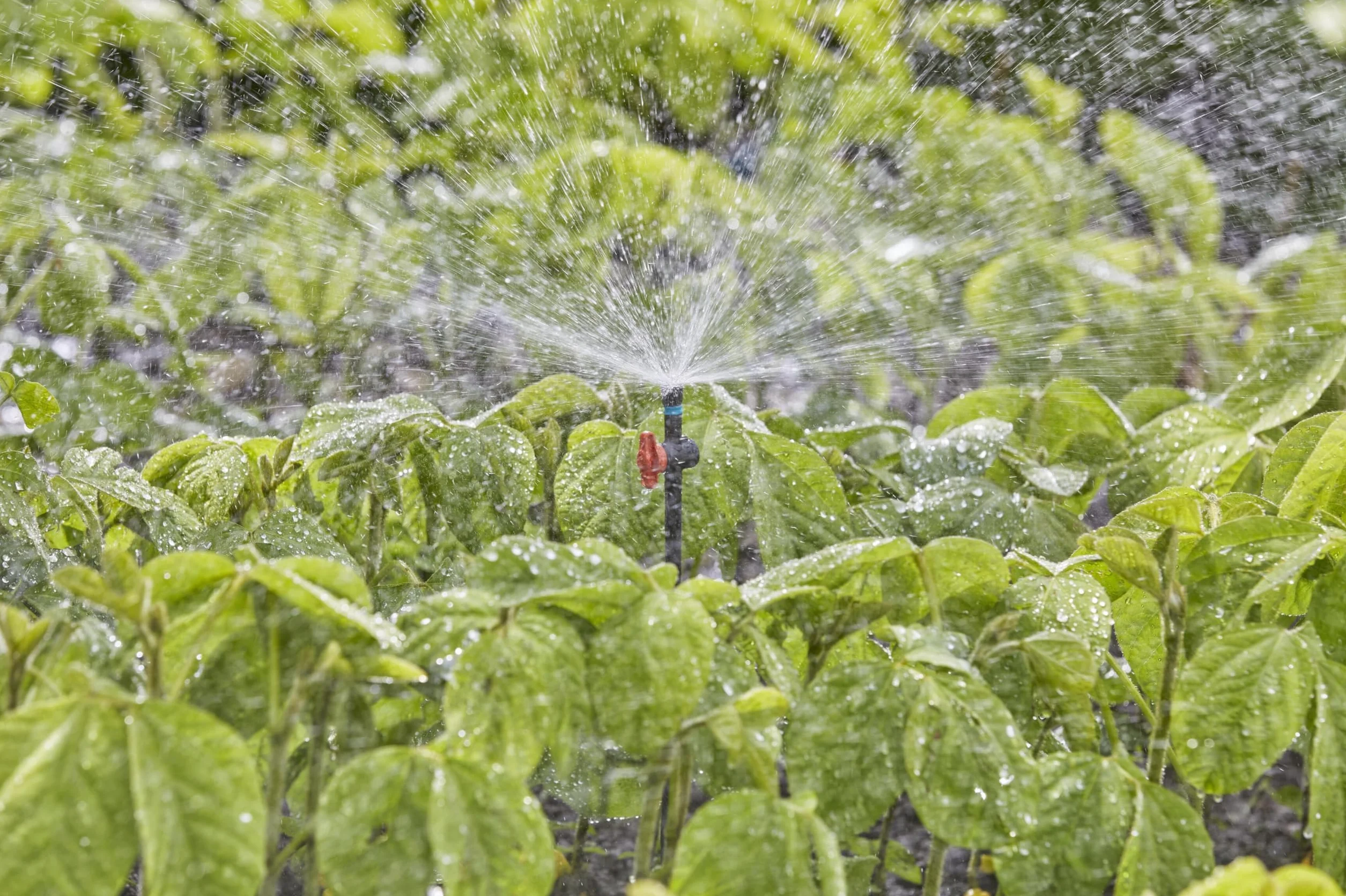 Gardena MDS Spray Nozzle 360°