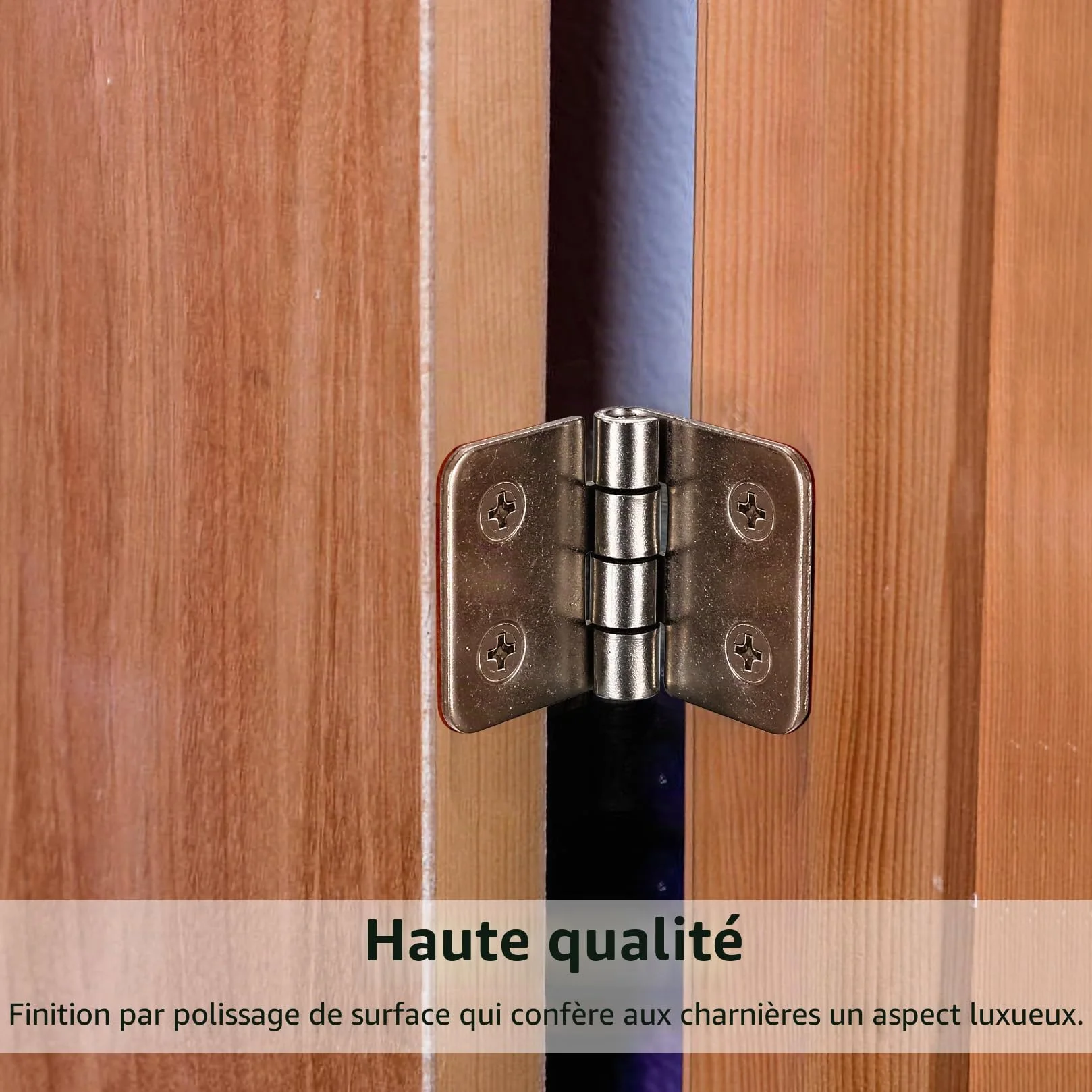 4 PCS Charnières Pliables en Acier Inoxydable, Robustes pour Portes en Bois, Fenêtres, Armoires et Portes de Jardin