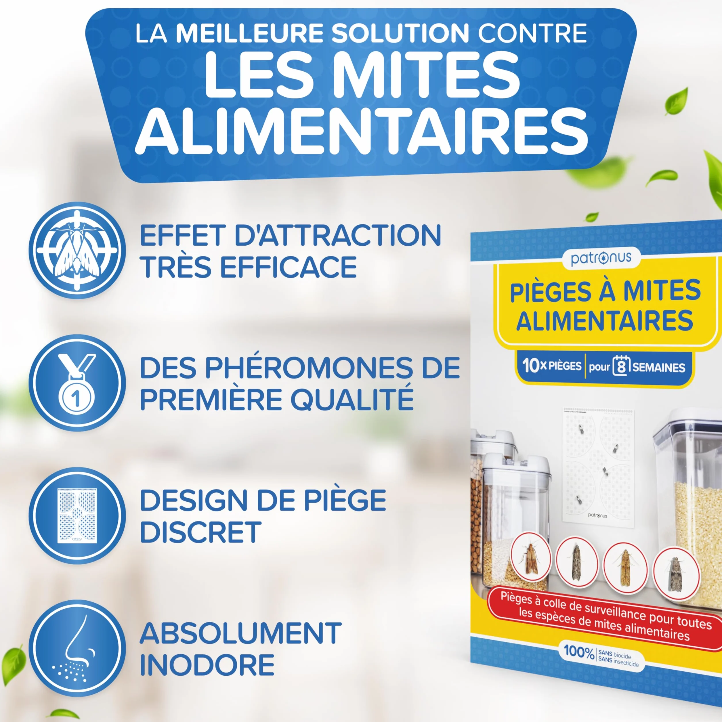 Piège à Mites Alimentaires 10 Pièces - Piège à Phéromones avec Colle Haute Performance Contre Les Mites Alimentaires