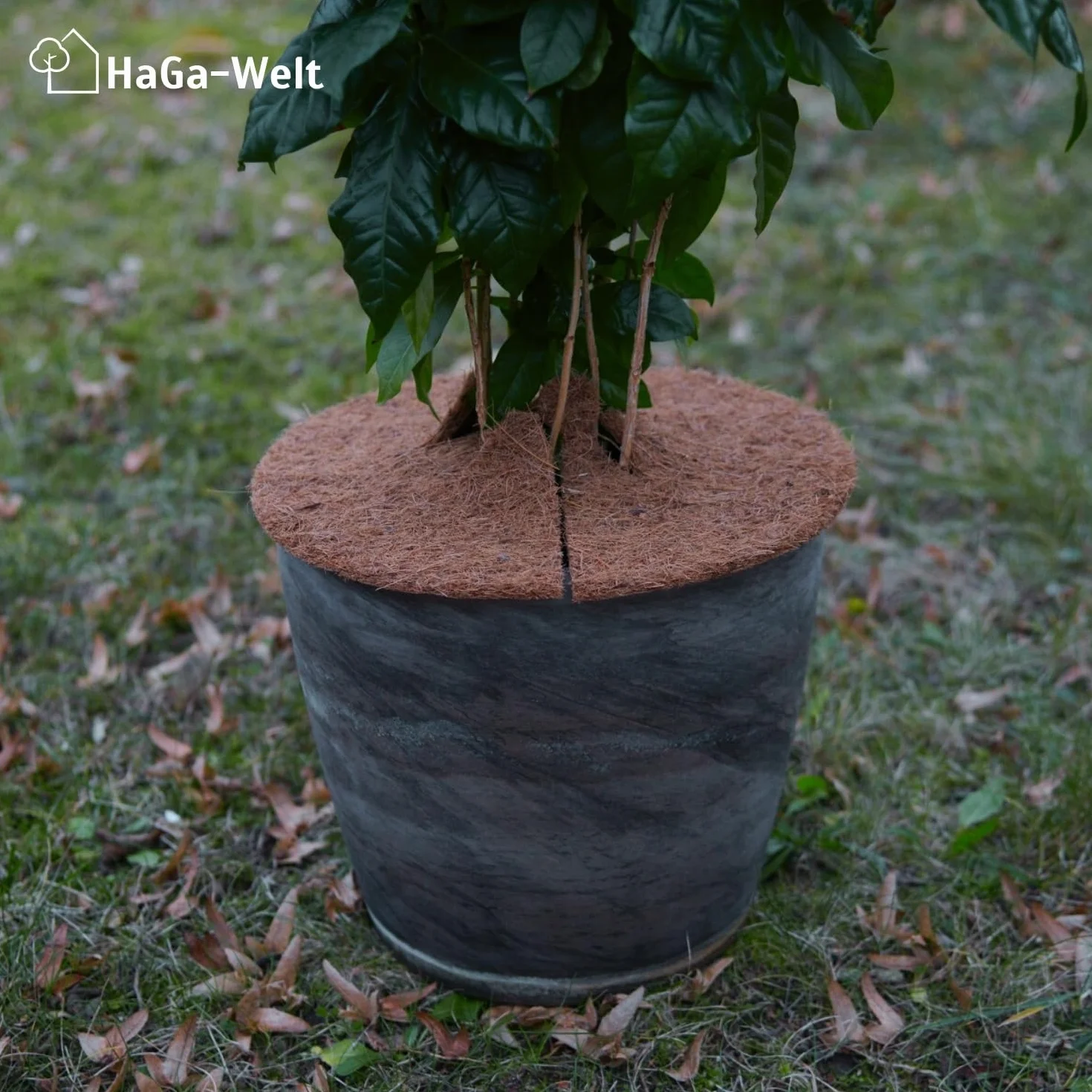 HaGa Lot de disques en Coco 2 x L Ø 45 cm + 2 x XL Ø 60 cm Protection hivernale pour Plantes en Pot