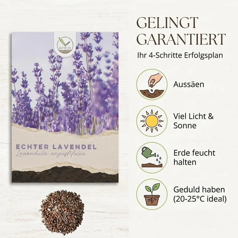 Graines de lavande 900x haut taux de germination Plante médicinale