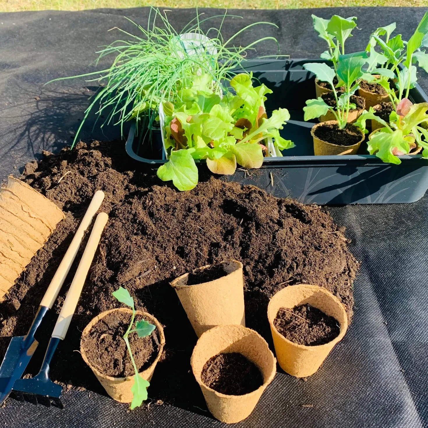 Bac stable sans trous au sol 38 x 28 x 8 cm – Bac à piquer pour plantes, jardin