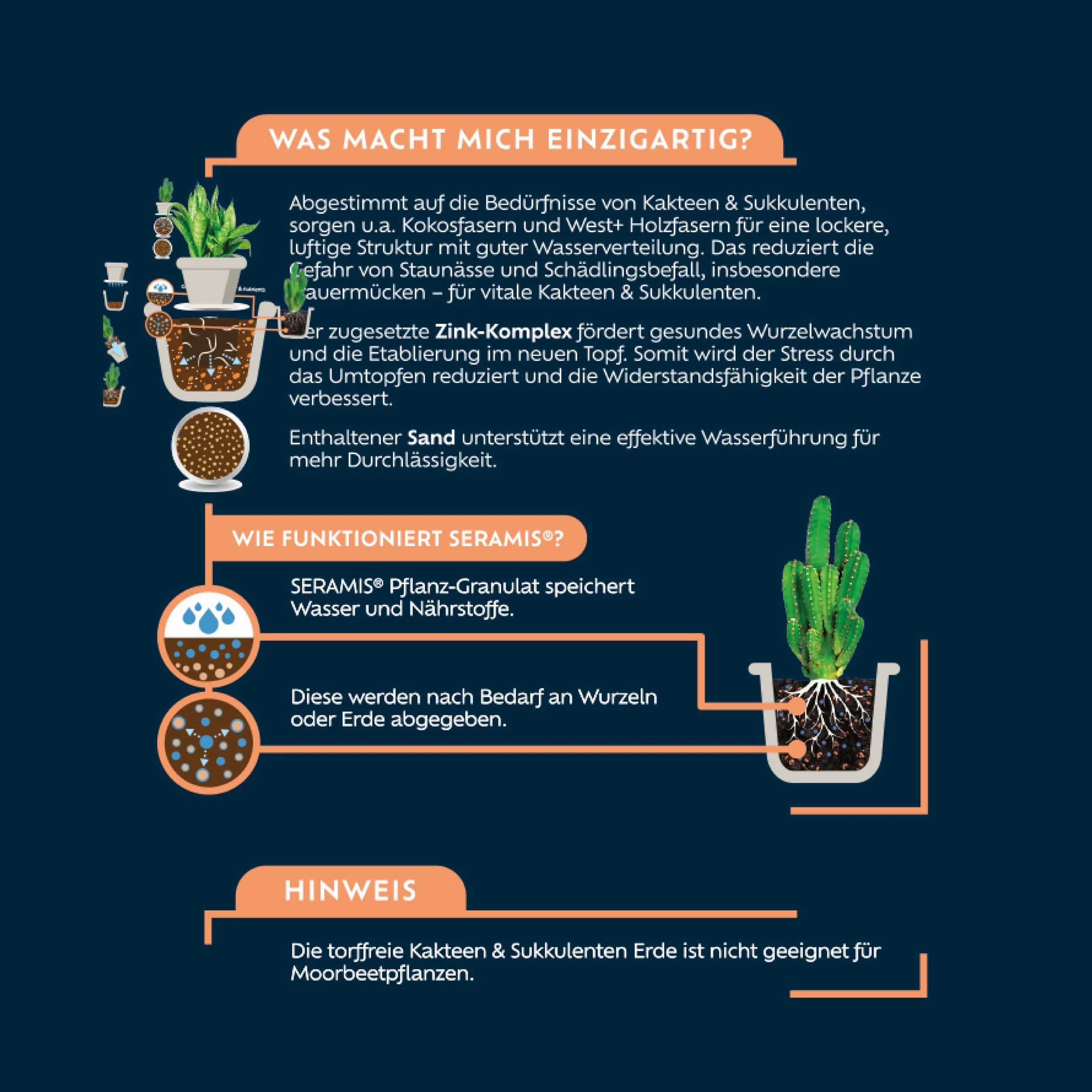 Westland terreau spécial Cactus et Plantes Grasses 4 l – Terreau avec granulés pour plantes saines
