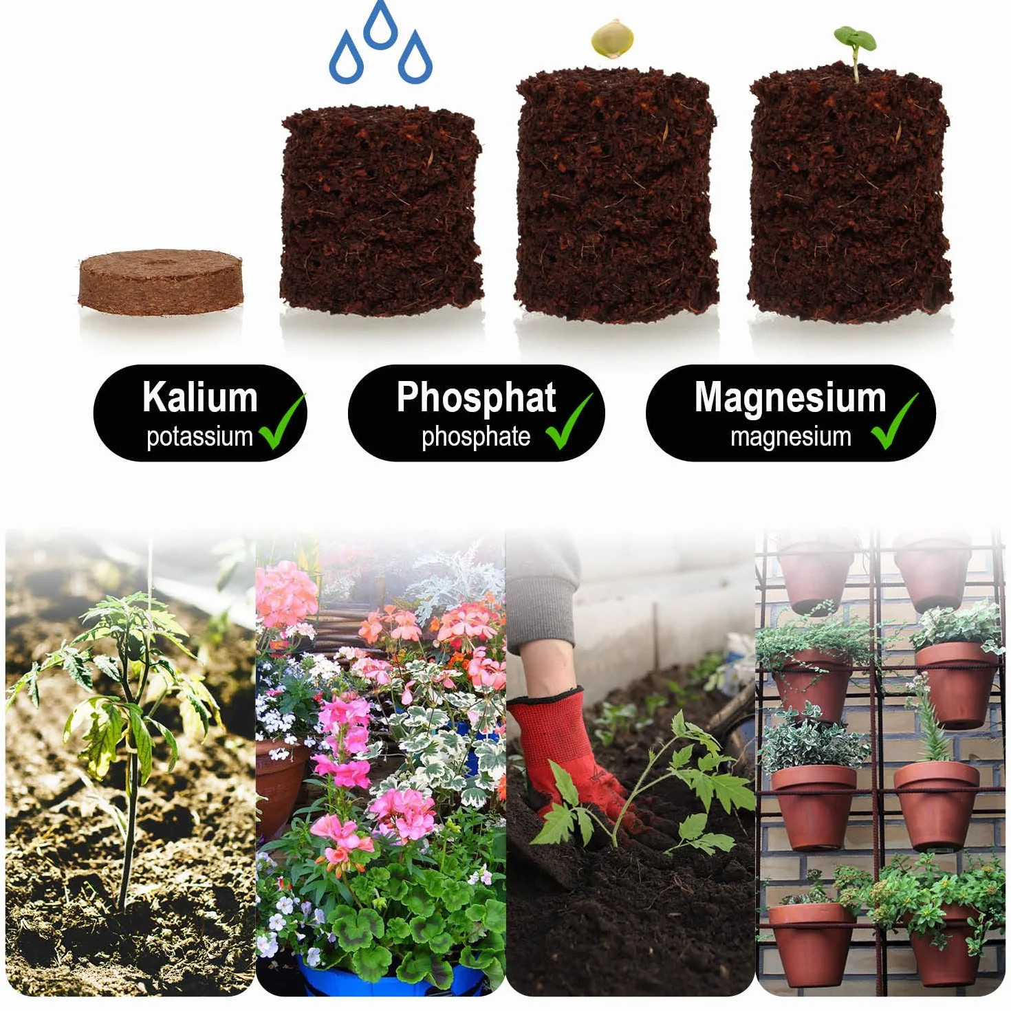 Kit de Culture de Noix de Coco 20 pièces - Disques de Noix de Coco Biodégradables avec Pot et Languettes Gonflantes