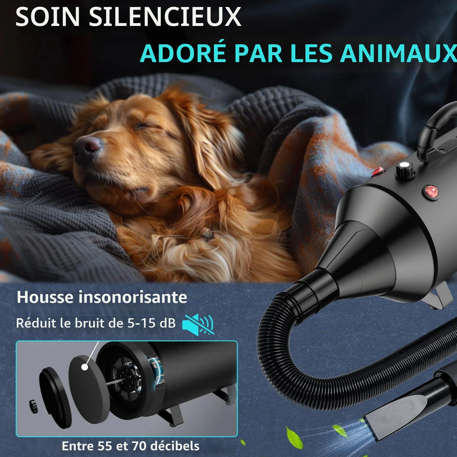 Sèche-Cheveux pour Chien Blower 5,2 CV 3800 W Moteur réglable avec 4 Buses