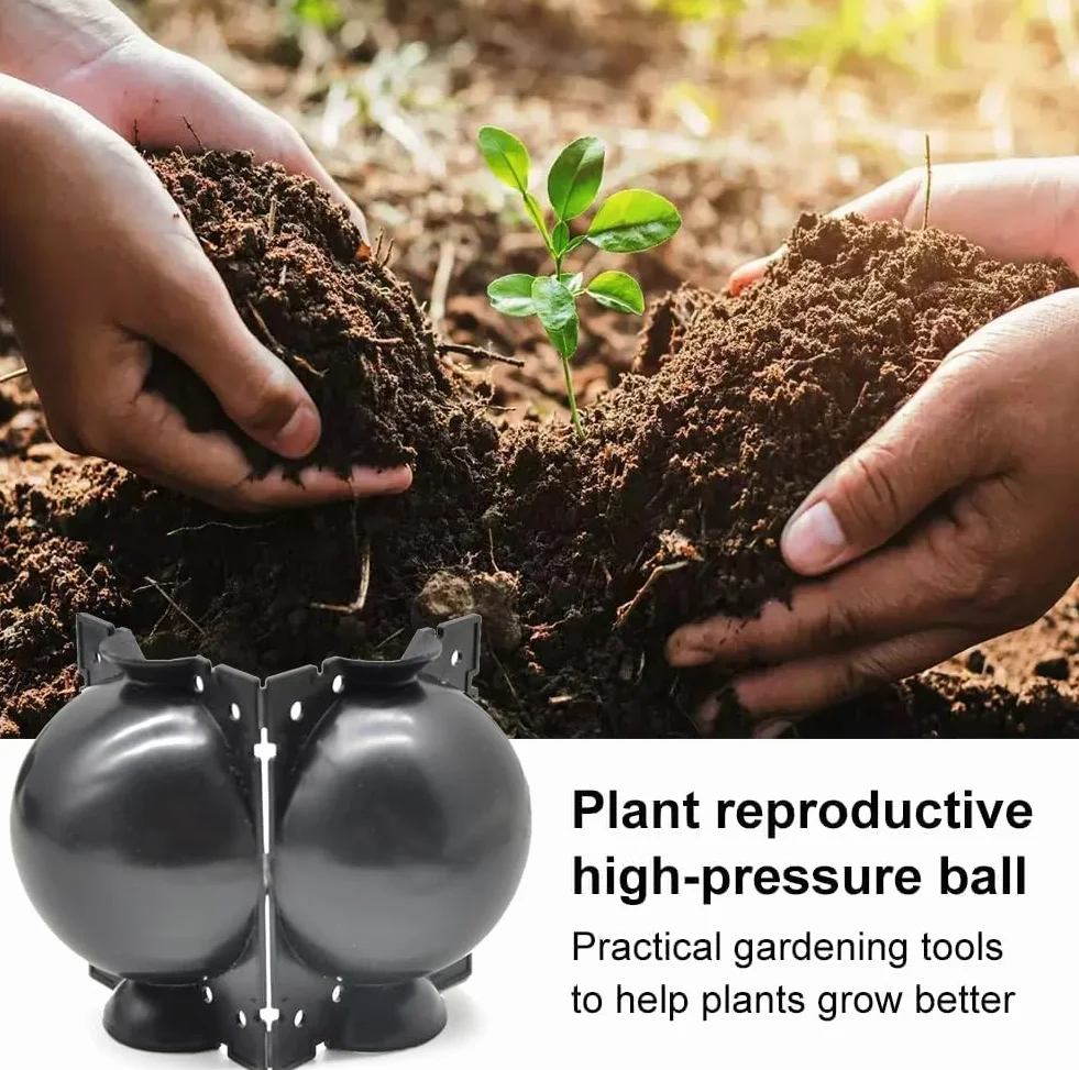 Boîte de Greffage de Plantes 6pcs, Dispositif d'Enracinement Balle de Propagation