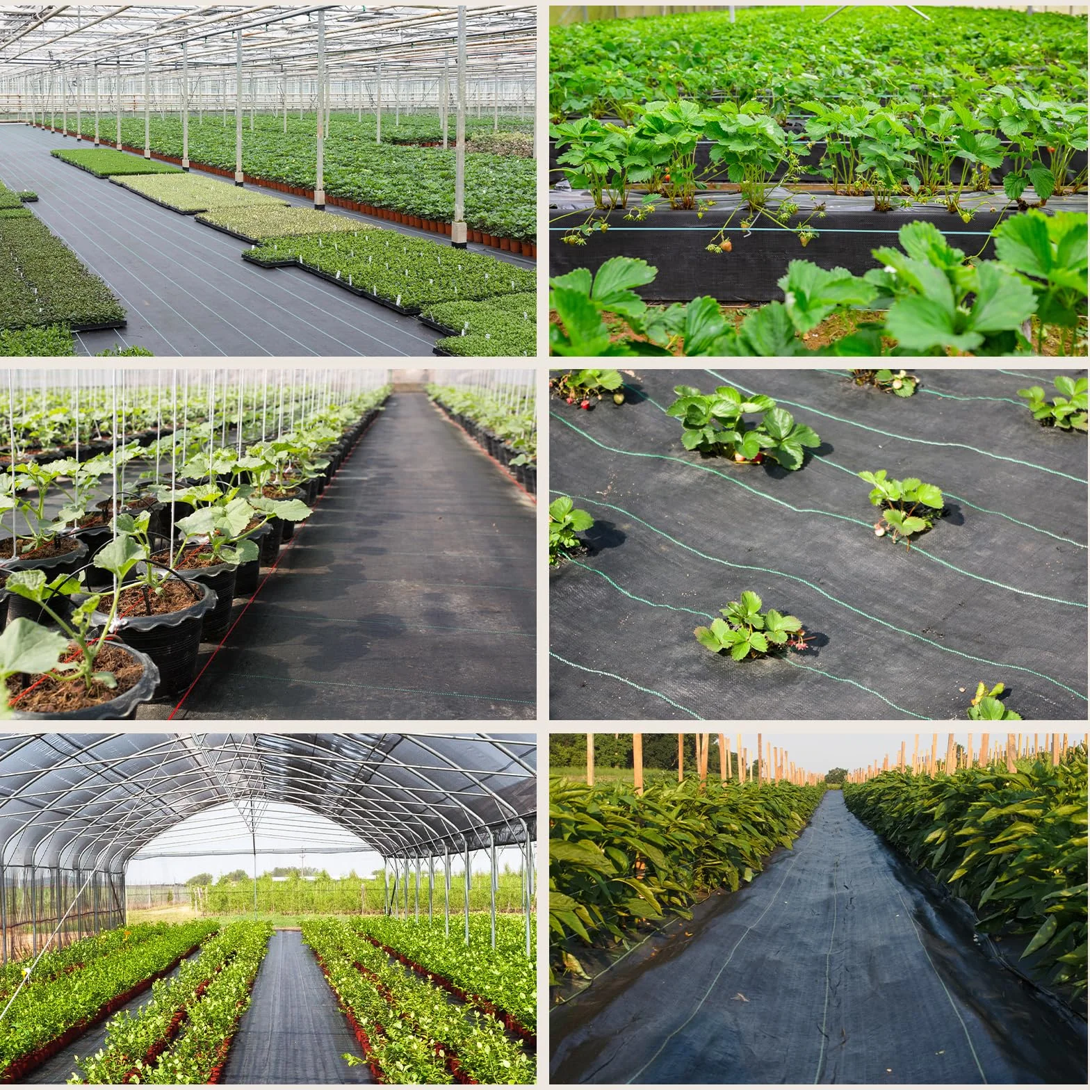 Toiles de Paillage 4m x 25m 90g/㎡, Geotextile Anti Mauvaises Herbes Jardin, Bache Noire Agricole