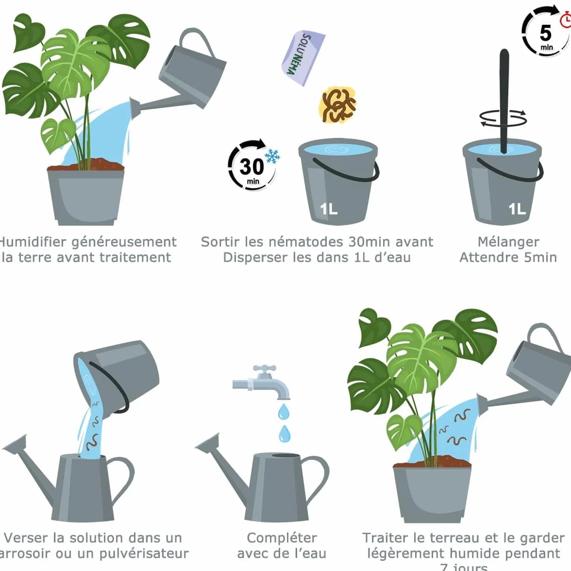 SOLUNEMA Nématodes SF contre mouches du terreau 5 millions - Traitement biologique plantes d’intérieur jusqu’à 25 pots