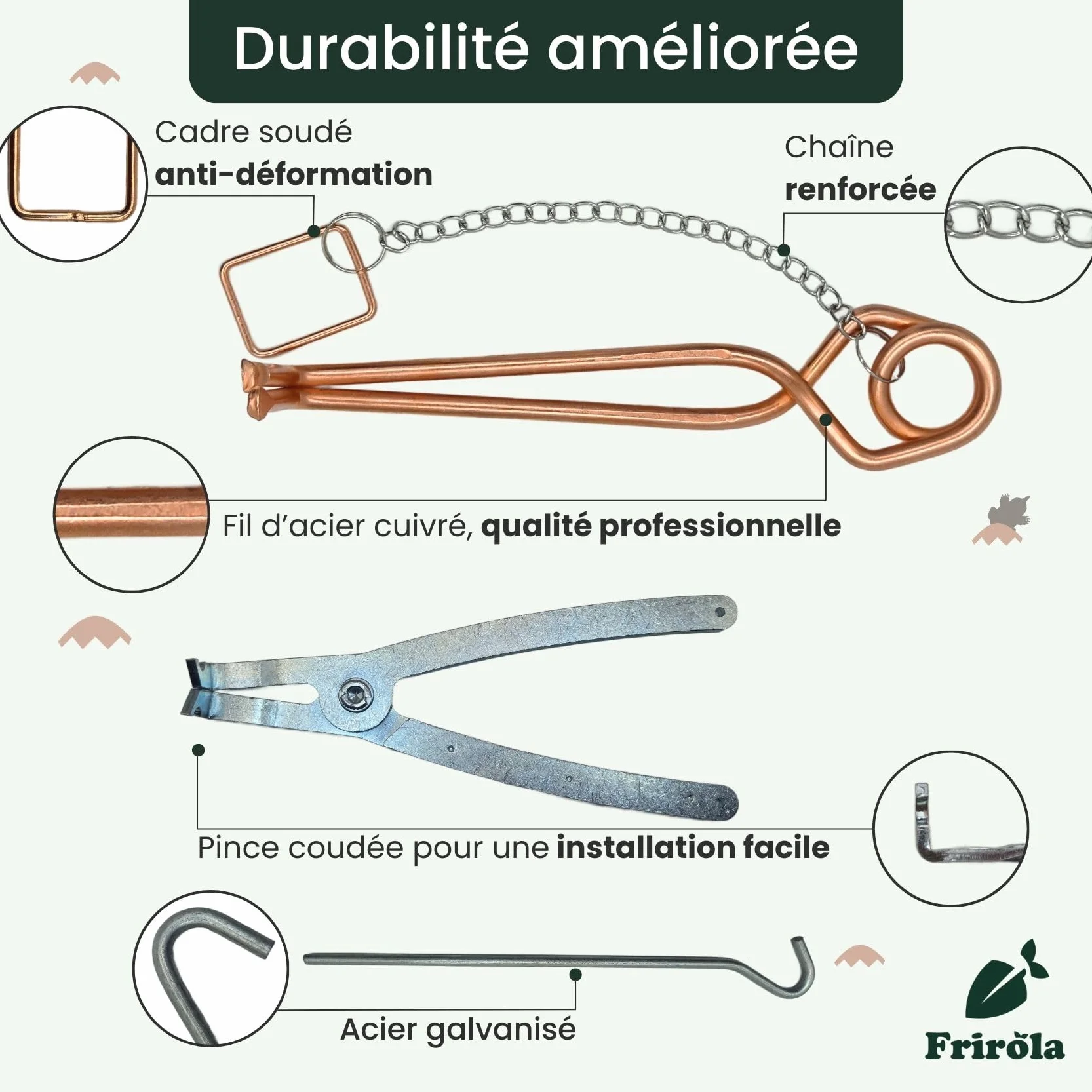 Piège à Taupe Putange avec Pince Améliorée - Lot de 4 - Acier Cuivré - Professionnel Efficace