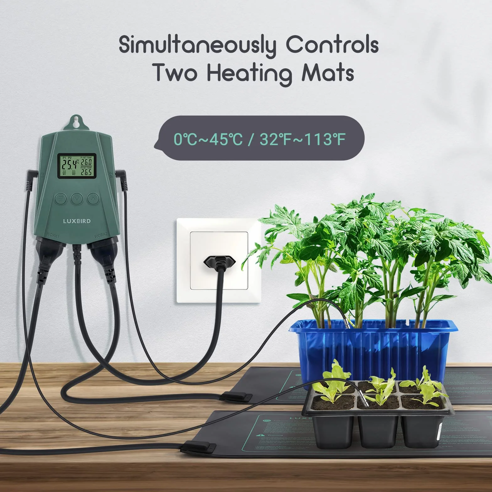 Luxbird Tapis Chauffants pour Semis avec Thermostat Numérique 21W - Chauffage Uniforme pour Germination, Serre et Plantes d’Intérieur