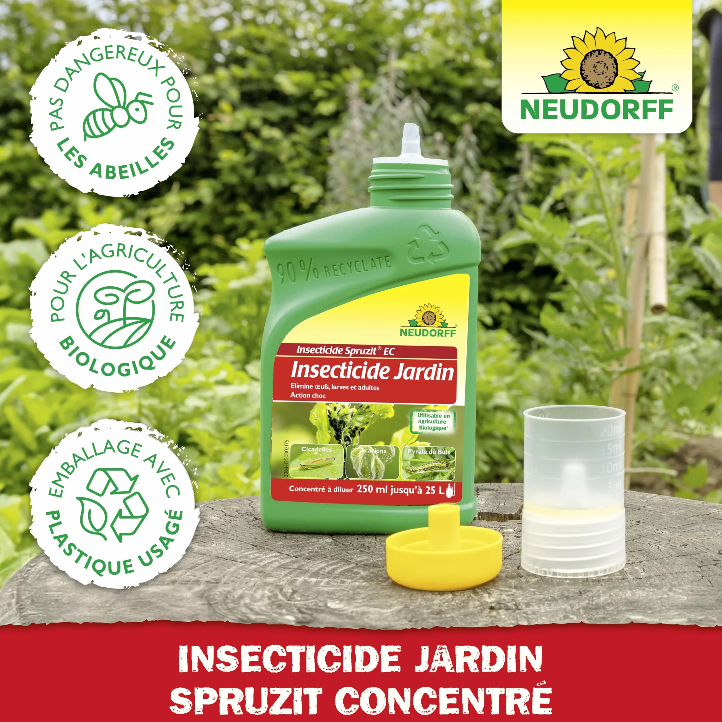 Neudorff Spruzit Insecticide Jardin Concentré 250 ml - Combat pucerons, cochenilles, ravageurs