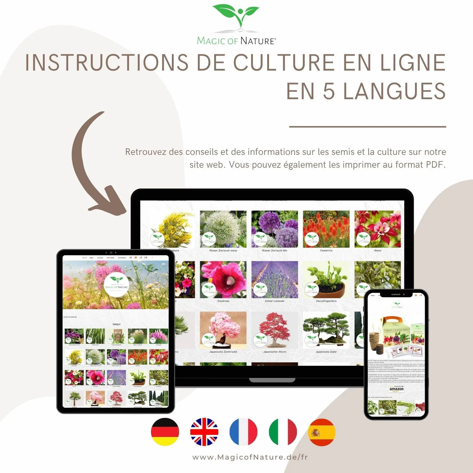 Graines de Framboisier Rouge Rubus idaeus Vivace 50 Pcs Rustique