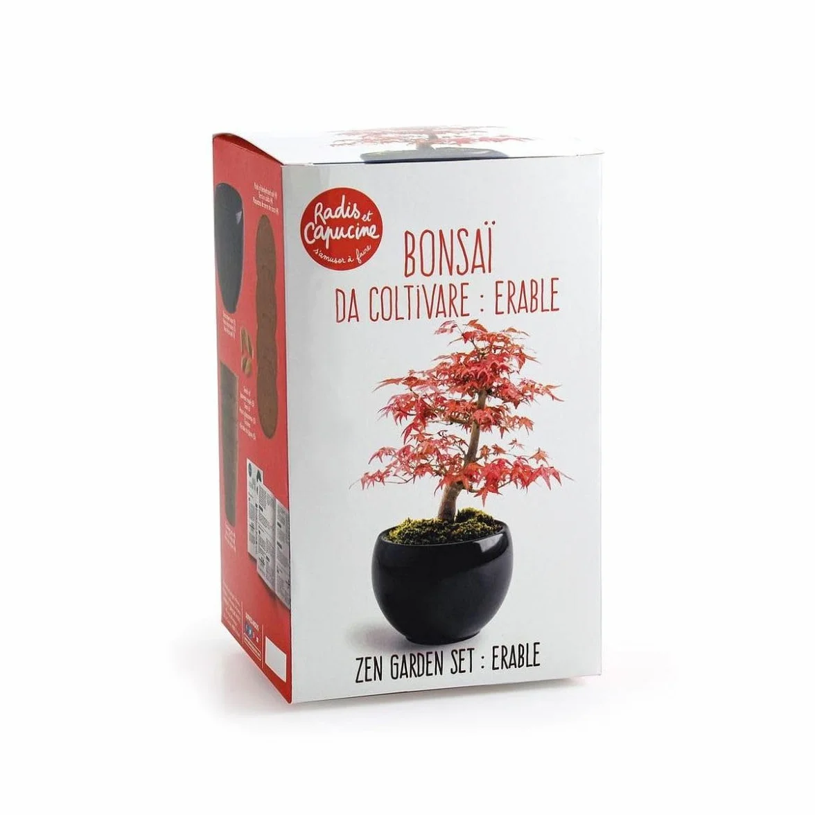 Kit Bonsaï Erable rouge Radis et Capucine