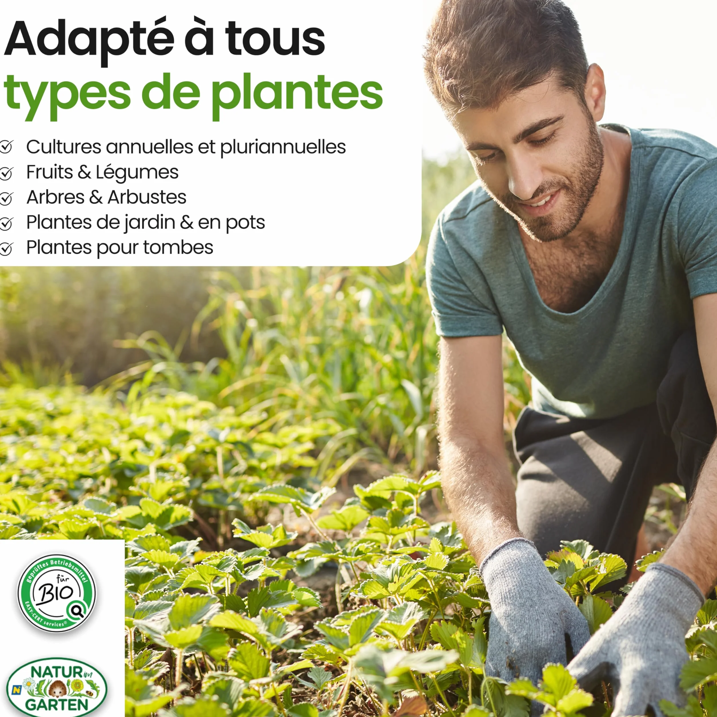 Hydrogel écologique en bois 750g pour 40L terre stockage d'eau anti-sécheresse