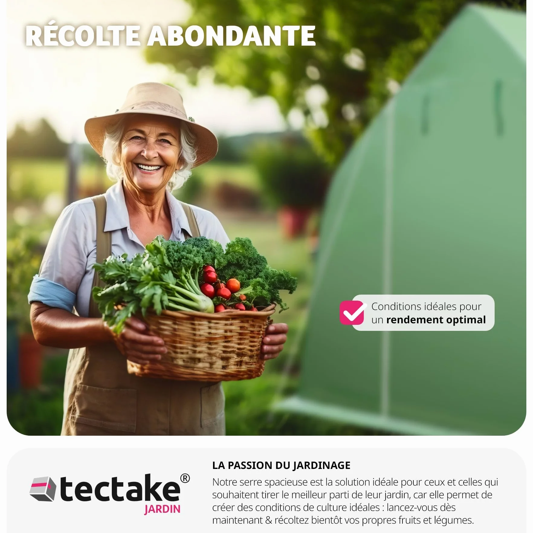 Tectake Serre de Jardin 18m2 Tunnel Acier Thermo-Laqué Anti UV 600x300x205cm