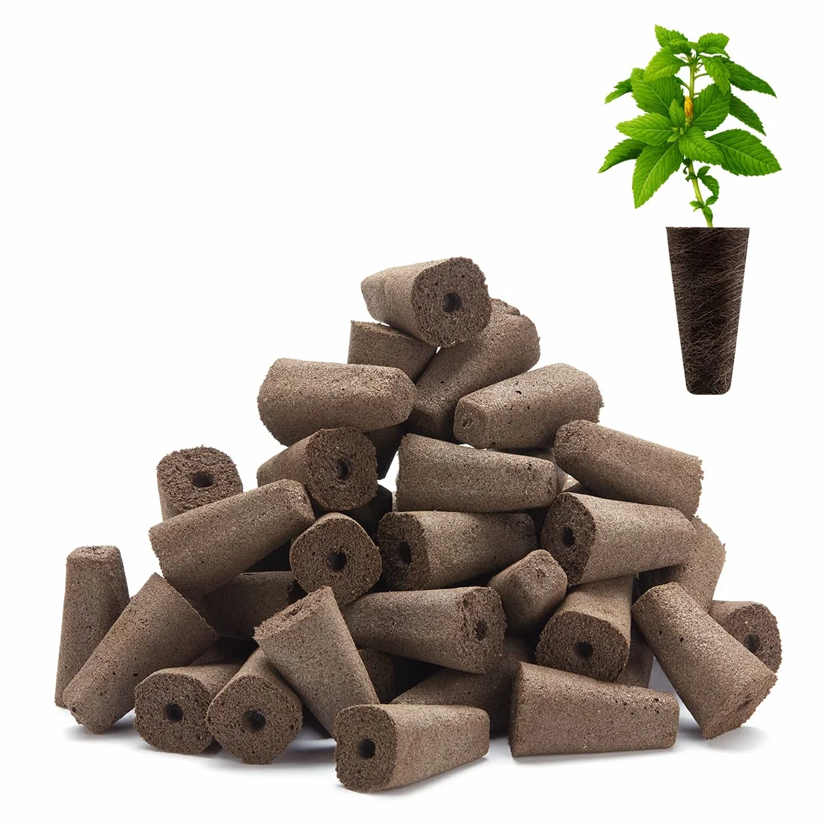 IPARTS EXPERT Lot de 50 éponges de culture hydroponique pour plantes d'intérieur