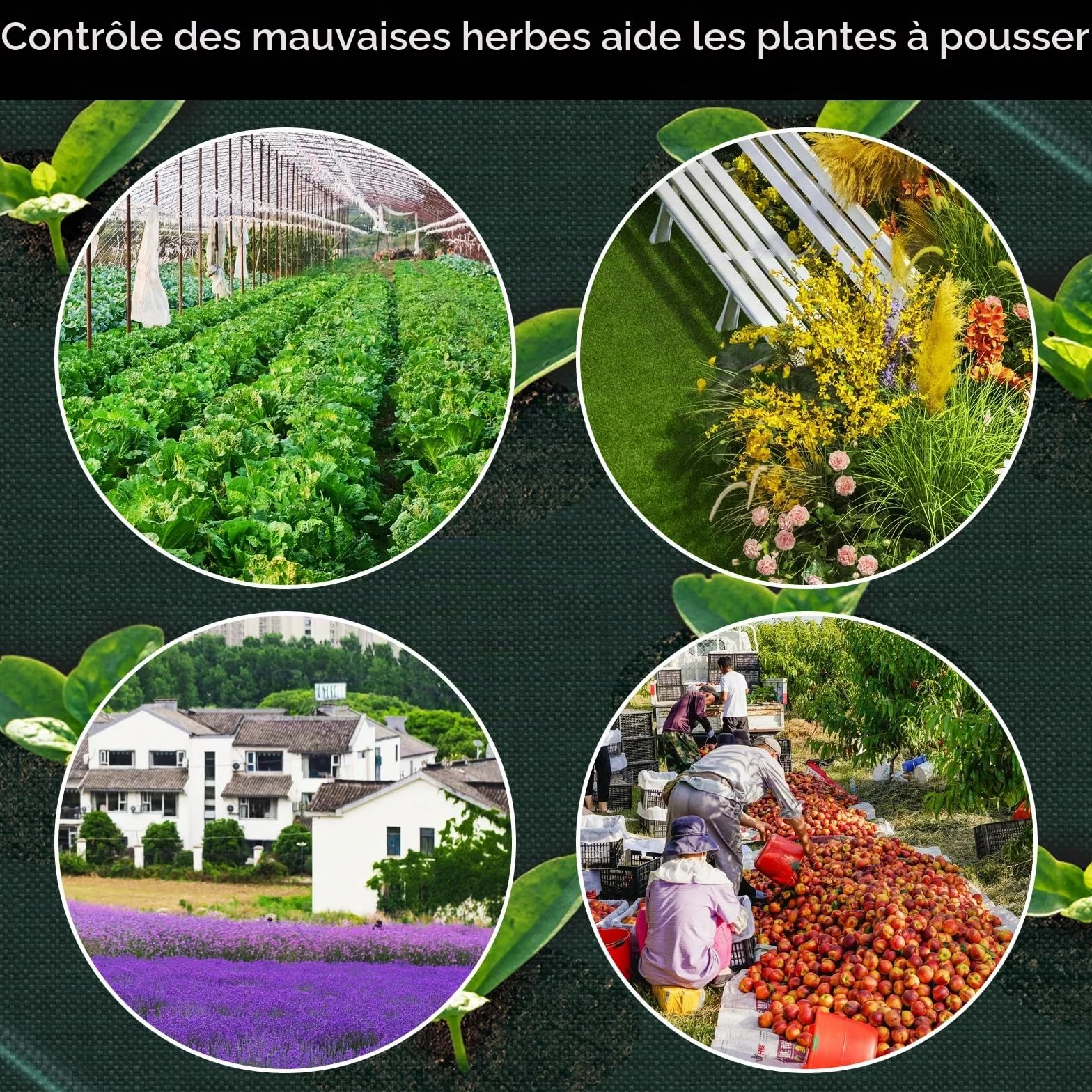 Toiles de Paillage 1m x 5m avec Piquets Tissu Anti-Mauvaises Herbes Respirant pour Jardin