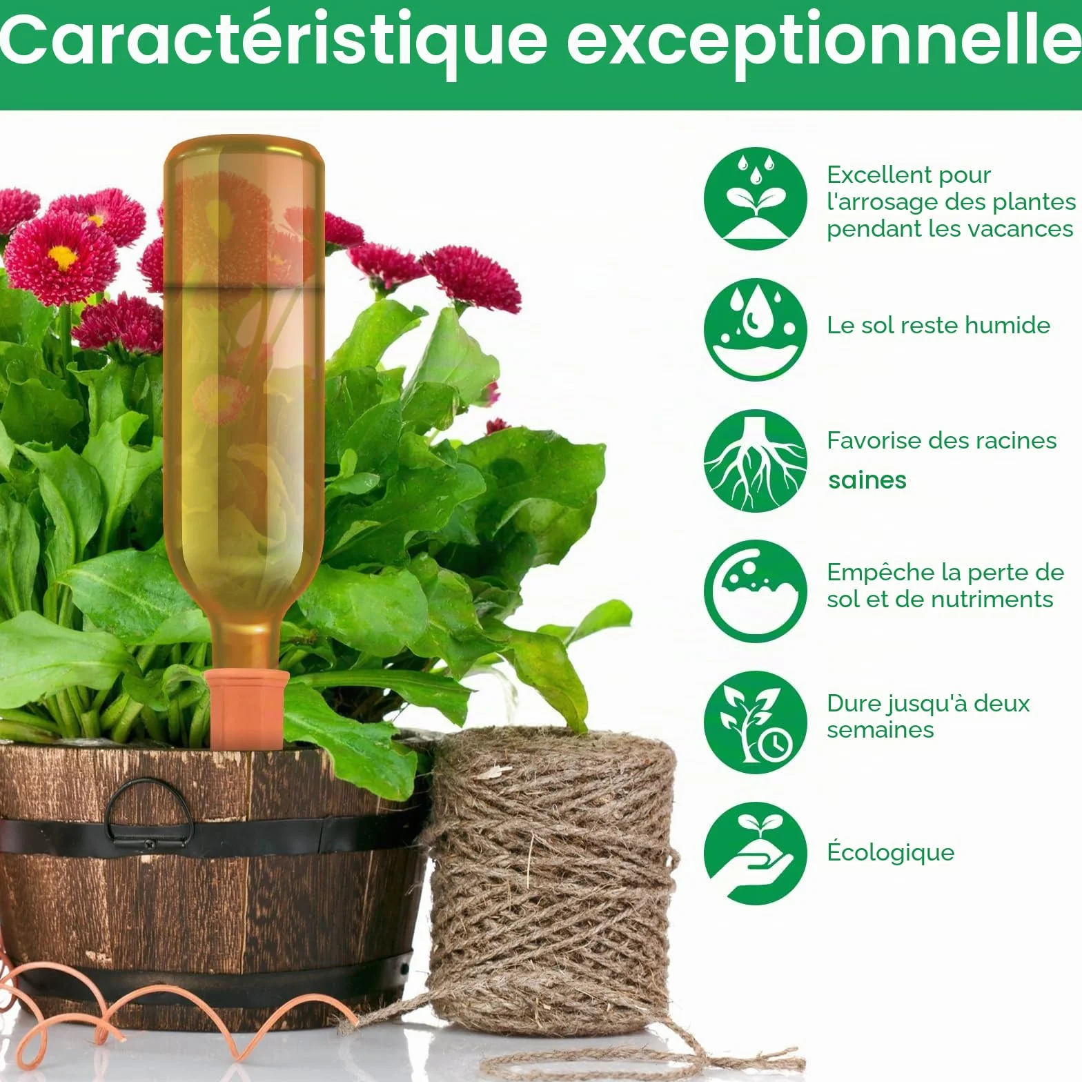 Frasheng Cône d’arrosage Argile, Système d'irrigation automatique, Kit goutte à goutte pour plantes en pot