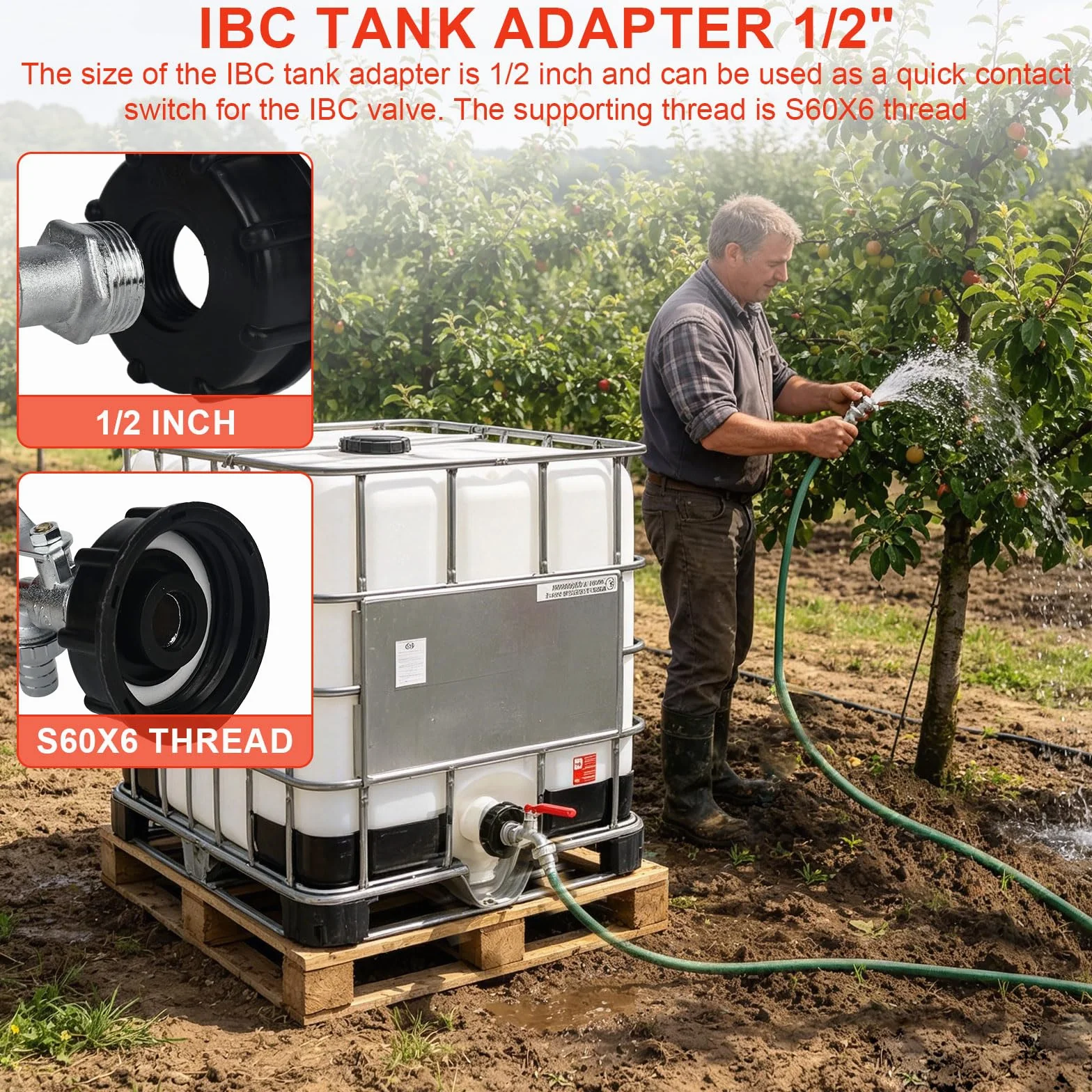 Robinet d'écoulement IBC avec adaptateur 1/2" pour réservoir 1000 litres S60 x 6