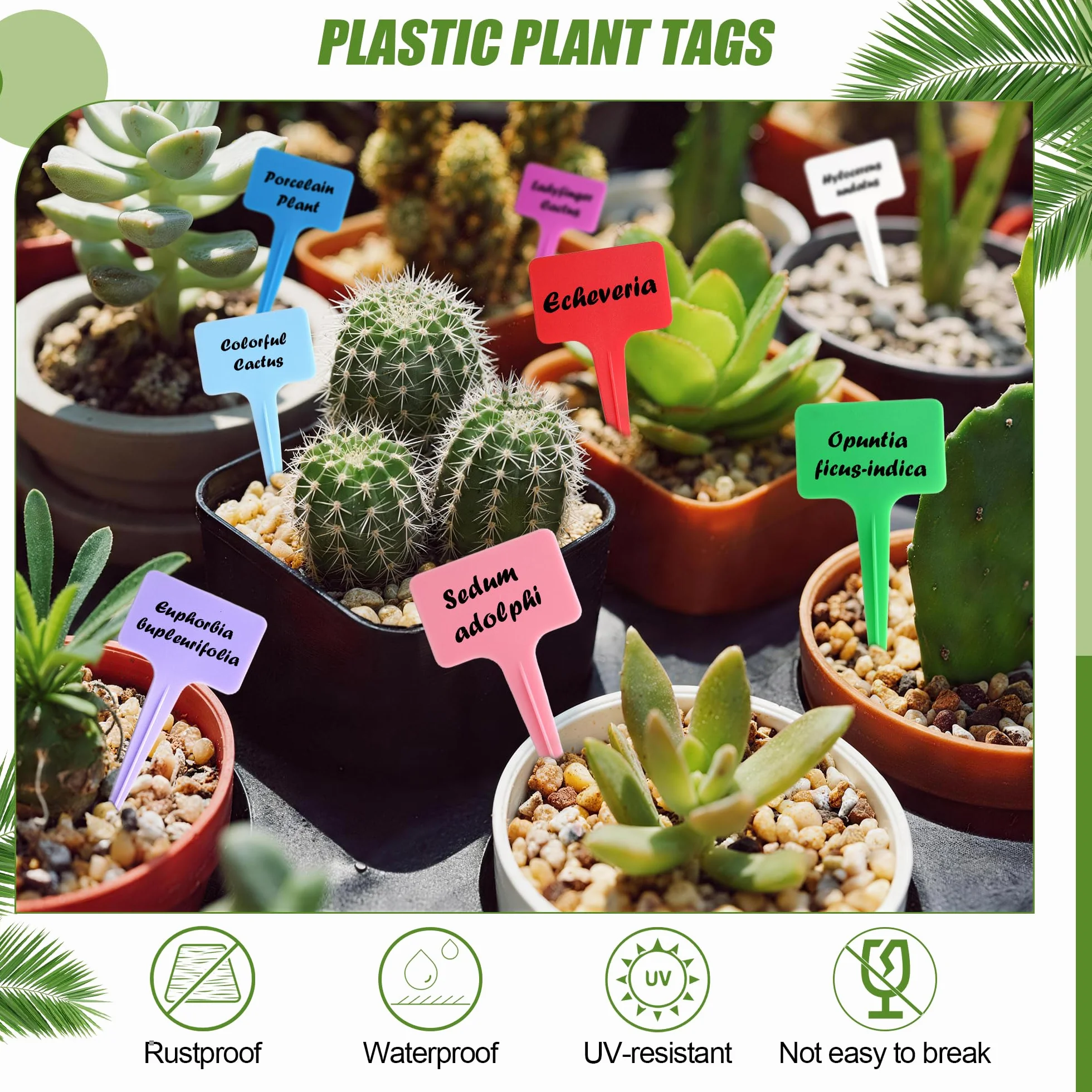 Étiquettes pour Plantes 200 Pièces, Accessoires Jardinage Étanche, Étiquette Plastique Semis Réutilisable