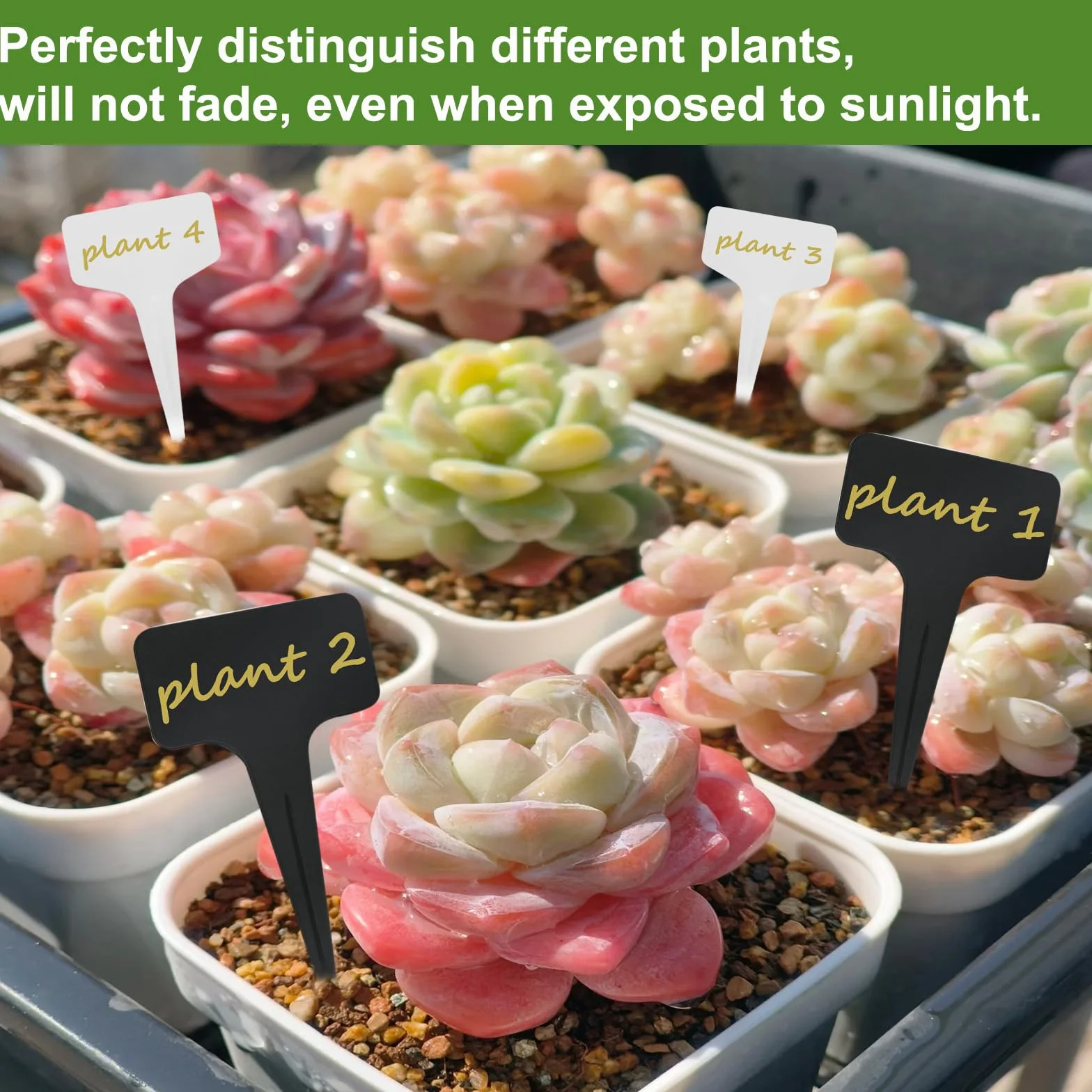 Set 200 étiquettes pour plantes jardin extérieur 10x6cm blanc noir marqueur inclus